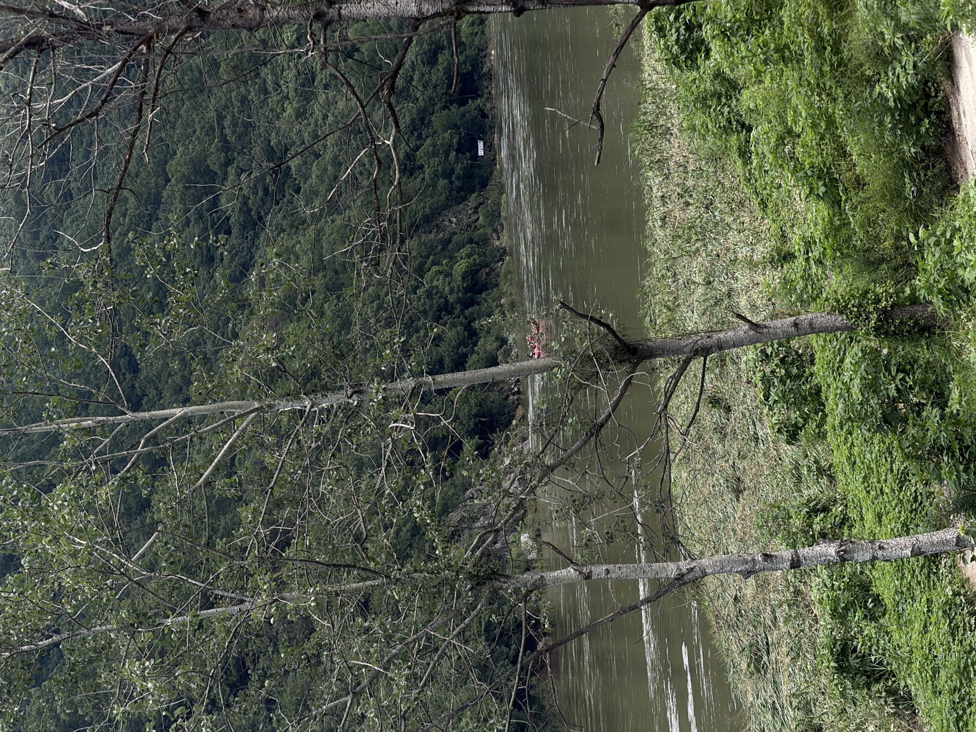 A wide, muddy river flows through a lush, forested valley. The riverbanks are covered in dense green vegetation, with tall trees framing the scene. In the distance, a group of people is visible in red rafts on the water. A white banner with Korean text hangs from a tree on the far bank. The image captures a serene natural landscape, likely in the Seo-myeon region of South Korea, given the presence of the Korean text and the characteristic topography.
