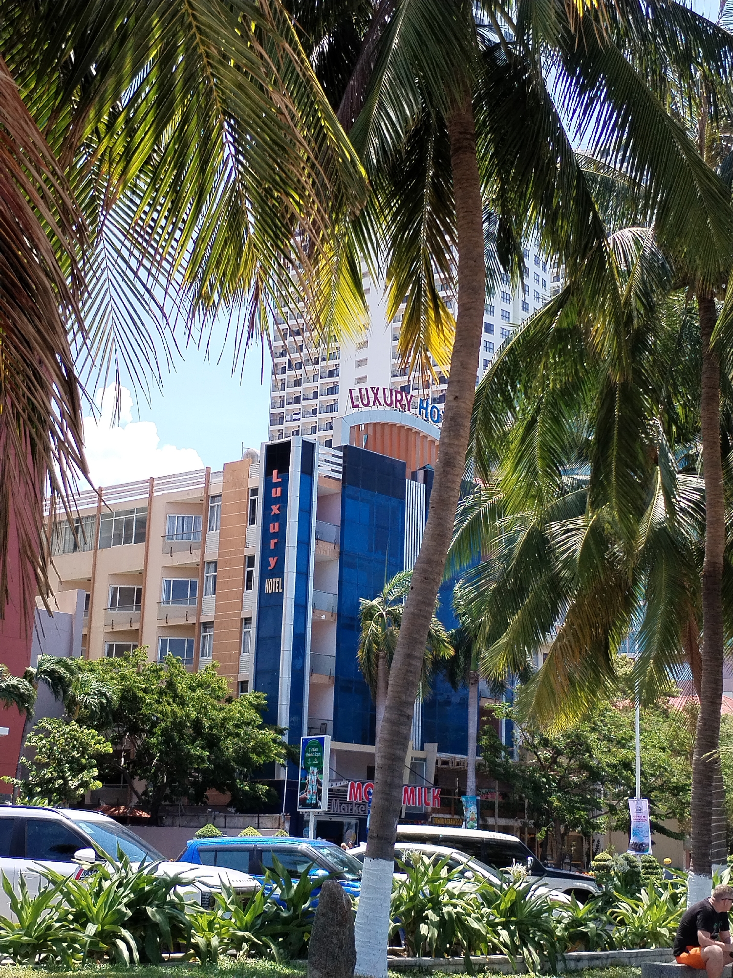 The photograph depicts a street scene in Nha Trang Ward, Vietnam, partially obscured by palm trees. A building labeled "Luxury Hotel" is prominently featured. A taller building with the same label is situated behind it. Street-level features include parked cars, dense vegetation, and a sign for "Mc Milk Market." A person is seated on a low wall near the right edge of the frame. The scene is bathed in sunlight, suggesting a daytime setting.