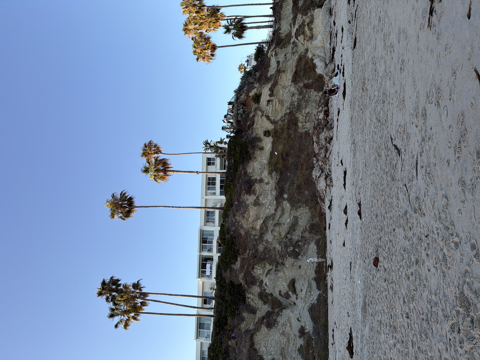 The image depicts a scene at a beach in Laguna Beach, California, USA, with a focus on a cliff face and a sandy shore. Several palm trees are visible, with their fronds reaching towards the clear blue sky.
At the top of the cliff, a white building with balconies and windows is situated. The cliff itself is a rocky, layered formation covered in sparse vegetation, primarily shrubs and dry grasses. Along the edge of the cliff, a group of people can be seen standing and observing the view.
On the sandy beach in the foreground, two individuals are sitting on a blanket, possibly having a picnic or relaxing. Another person is standing near the base of the cliff, appearing to be looking at something in their hands. Several pieces of dried seaweed and debris are scattered across the sand. The overall impression is a tranquil beach setting under a bright, sunny sky.