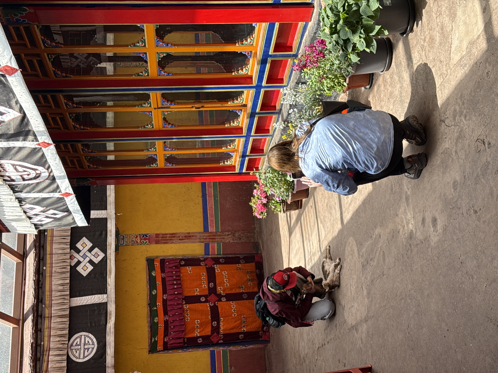 Here is a detailed description of the image:
The photograph captures an outdoor scene in what appears to be a traditional courtyard setting, characterized by ornate architectural details. The location is suggested to be in Lhasa, China, based on architectural styles.
A person wearing a light blue shirt is crouched down, seemingly observing or interacting with something near the ground. Nearby, another person in a maroon jacket, red cap, and gray pants is also interacting with a pair of cats that are on the ground. One of the cats is gray and lies with its legs up, while the other cat is nestled beside the other person in maroon.
The architecture is marked by brightly colored wood frames, painted in shades of red, orange, and blue. Adjacent to the crouching person are potted plants filled with flowers. The courtyard floor is made of concrete.
On the left side of the frame, there are decorative cloth banners with traditional symbols hanging from the walls, adding to the cultural context of the scene. A colorful patterned cloth hangs on the wall. The overall lighting suggests a sunny day.