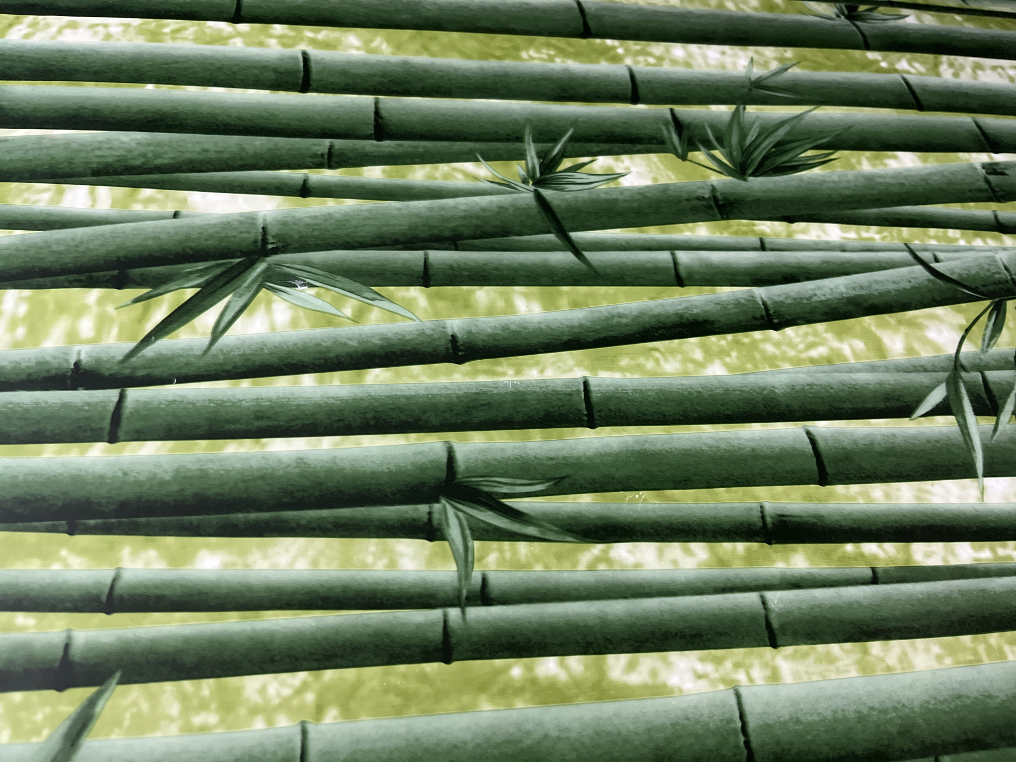 The image shows a close-up of a bamboo stalk pattern on a wall. The background is an abstract blend of light green hues. The bamboo stalks are mostly horizontal and parallel, with some having leaves sprouting from them. The image has a slightly blurred effect, possibly due to depth of field or image quality. The image location is not clear.