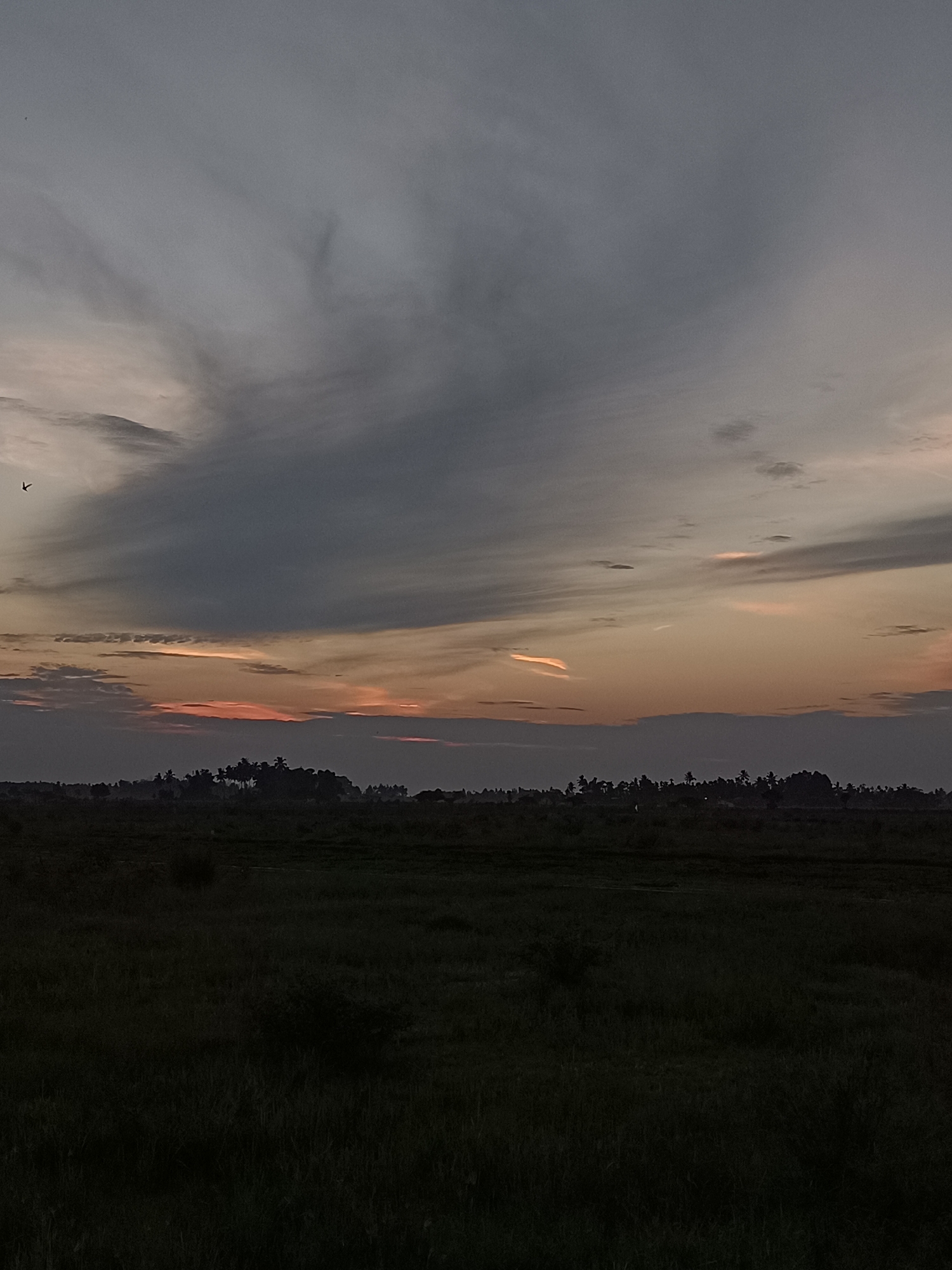 An overcast sky with streaks of orange and pink suggests either dawn or dusk. Silhouetted trees and buildings form a dark line across the horizon, separating the sky from a dark, flat expanse of vegetation in the foreground. There are no discernible people or animals in the frame. The overall impression is one of a rural landscape at twilight. The image is likely of Meunasah Pupu, Indonesia, given the context.