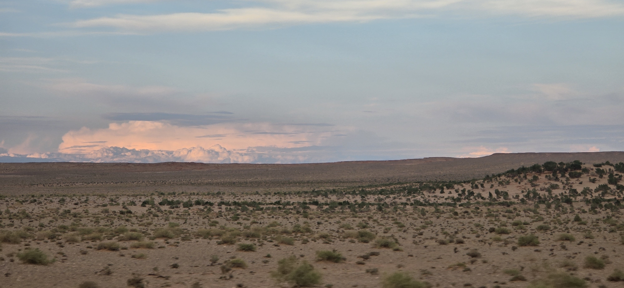 A wide, low-angle shot captures a vast, arid landscape under a pastel sky. The foreground is a dusty, sandy terrain dotted with sparse, green scrub brush. In the mid-ground, a gently rolling hill rises, also covered in similar vegetation. The background features a low, undulating horizon line of brown, rocky hills. Above this, a band of textured, pale pink and white clouds stretches across the sky, illuminated by what appears to be a setting or rising sun. The sky transitions to a pale blue at the top of the frame. There are no people or man-made structures visible in the image. The environment is indicative of a desert or semi-arid steppe.