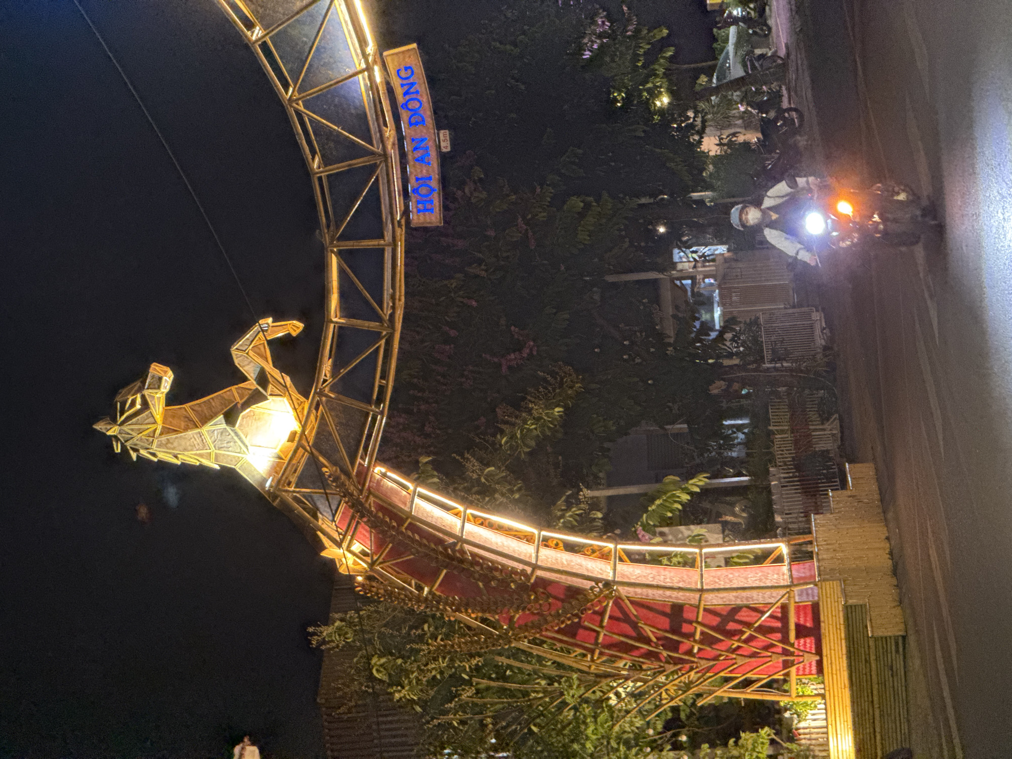 A nighttime shot, presented in portrait orientation, reveals a lighted dragon structure in Đà Nẵng, Vietnam. The dragon's head is positioned in the upper left and the body curves toward the lower right, constructed from metal framework, illuminated by embedded lights. The dragon's body has a section of red covering. The surrounding environment is dark, interspersed with trees and bushes. A sign, lit in blue, is visible on the upper left, bearing the text "Hoi An Dong." A road with a passing scooter, the rider wearing a helmet, is seen in the upper right. Buildings and streetlights are also present.