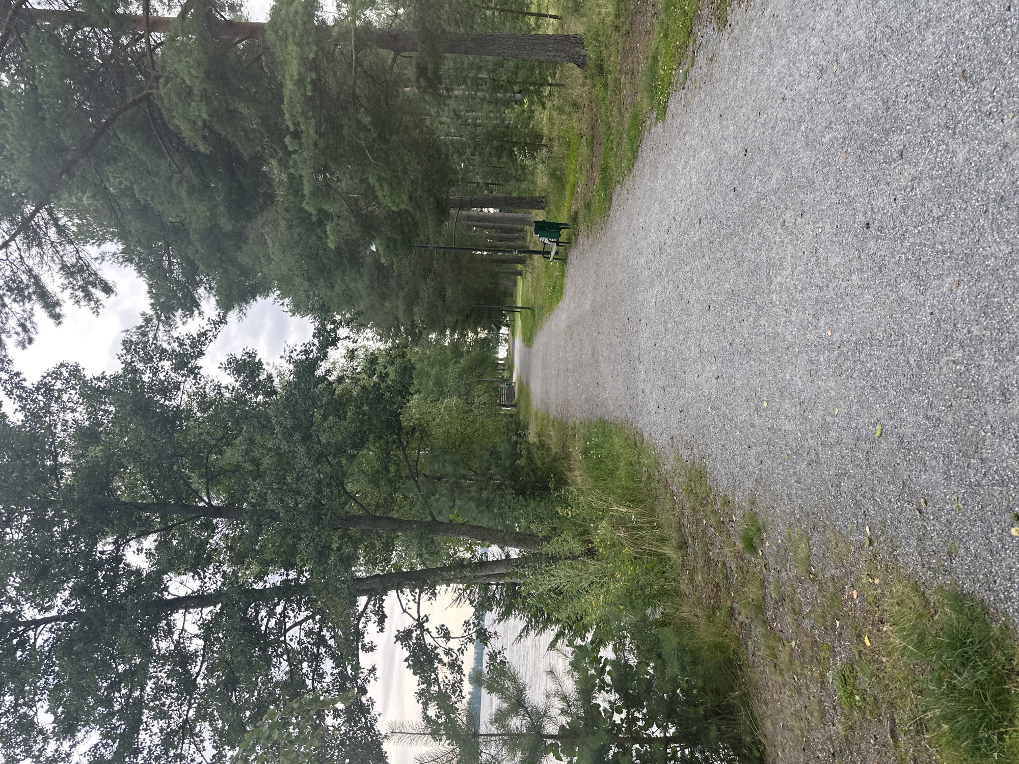 The image depicts a gravel path curving through a park-like setting next to a body of water. Tall trees, including pines and deciduous varieties, line the path on both sides. On the left, the water reflects the overcast sky and the surrounding foliage. On the right, a green park bench and a lamppost are visible along the path, which leads into a dense forest. The scene is characteristic of the natural landscapes found in Vammala, Finland, a town known for its scenic beauty and proximity to lakes and forests.