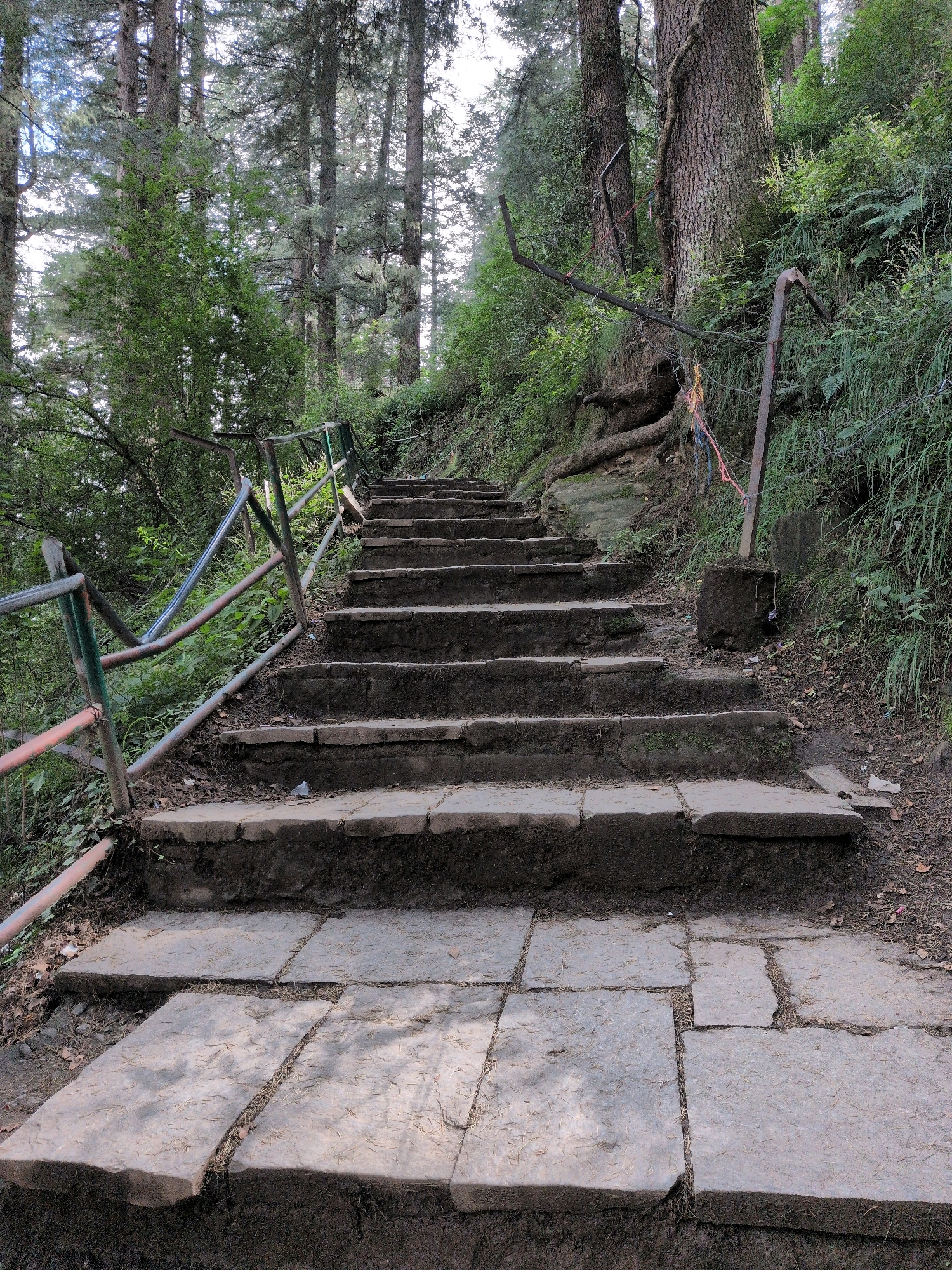 The image shows a stone staircase leading upwards through a forest. The steps are made of large, irregular stone slabs, with soil and debris accumulated in the gaps between them. A metal railing with a colorful coating runs along the left side of the stairs, appearing somewhat worn and aged. The stairs are surrounded by dense vegetation, including tall trees with rough bark and lush green foliage. The ground is covered with dirt, fallen leaves, and pine needles. In the background, more trees and a slightly misty sky are visible, suggesting a natural, possibly mountainous, environment. The scene is consistent with a hiking trail or path in a forested area, and it is plausible that this is a location in or around Manali, India, known for its scenic natural beauty and trekking routes. There are no people or animals visible in the image.
