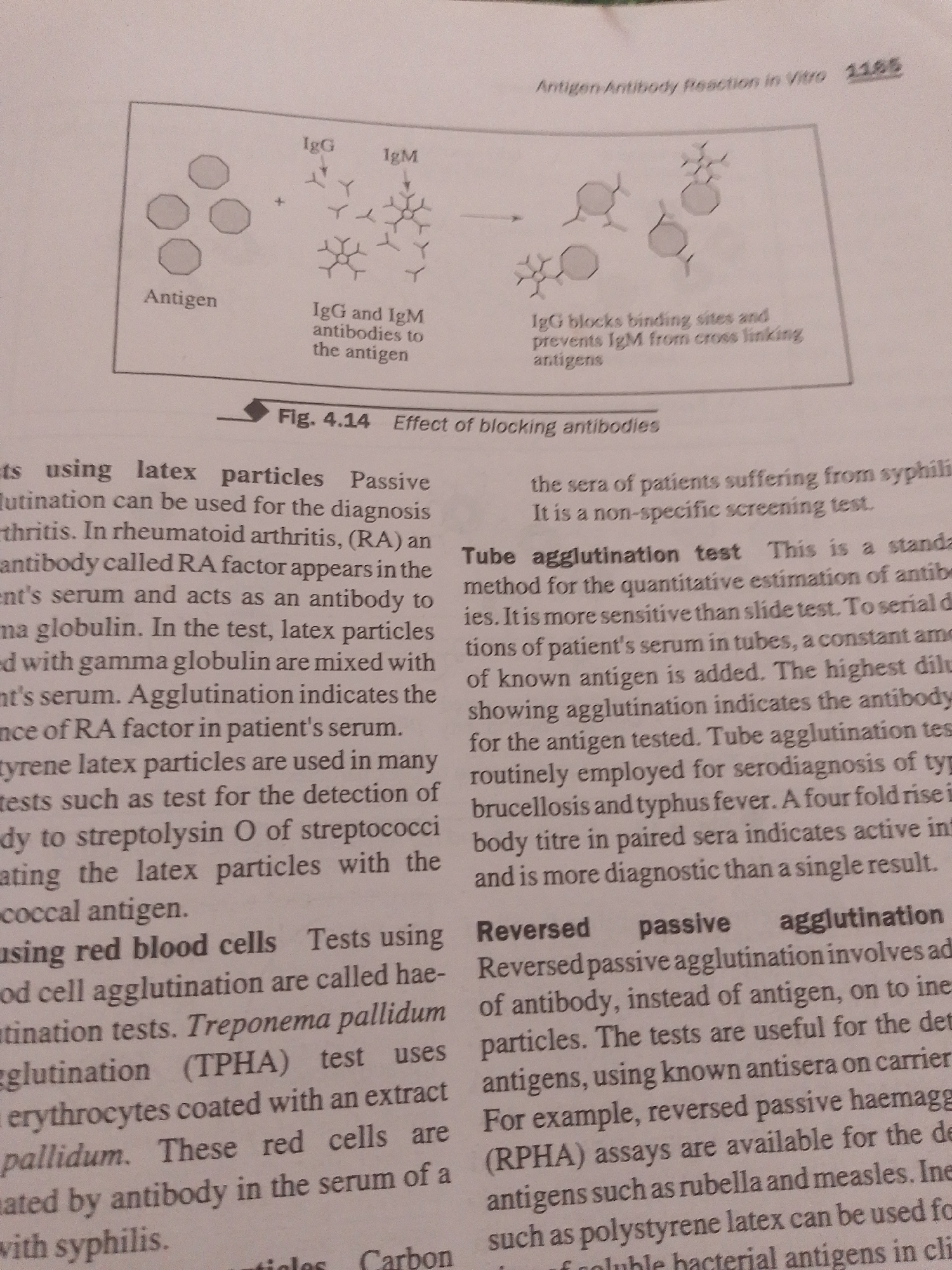 This media file is an image of a textbook page discussing antigen-antibody reactions in vitro. The page features a diagram illustrating how IgG and IgM antibodies interact with antigens, and how IgG can block antigen binding sites. Text sections explain different types of agglutination tests, including passive agglutination and tube agglutination tests, as well as their applications in diagnosing diseases like rheumatoid arthritis, syphilis, brucellosis, and typhus fever. Specific tests mentioned include the Treponema pallidum hemagglutination (TPHA) test. There is also a reference to a page number or figure number "1165" and a figure caption "Fig. 4.14 Effect of blocking antibodies". The context indicates this is an educational or scientific document. There are no people, objects, or scenes in the image besides the text and diagrams. The location context of Jalingo, Nigeria is not visible in the image itself and cannot be inferred from the content.