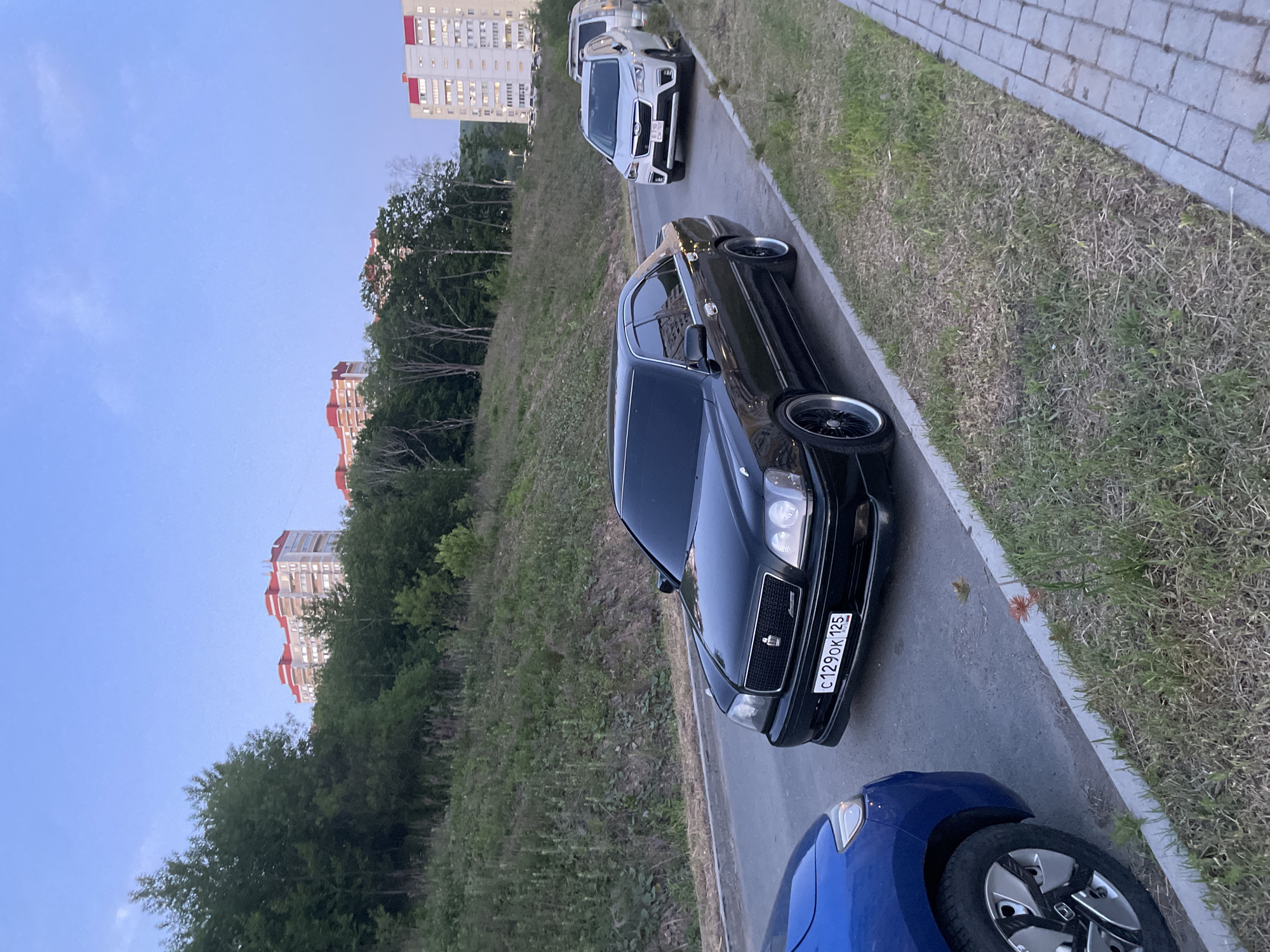 The image shows a street scene in Vladivostok, Russia, with several cars parked along the curb. A black Toyota Crown is parked in the foreground, facing the camera. Its license plate, "c129ok 125", is visible. A blue car is partially visible in the lower right corner, and a white Subaru Forester is parked further up the road. Behind the cars, a grassy slope leads up to a line of trees and several multi-story apartment buildings with red roofs. The sky is clear and blue. The road is paved with asphalt, and the curb is made of grey paving stones. The environment suggests an urban setting near a residential area.