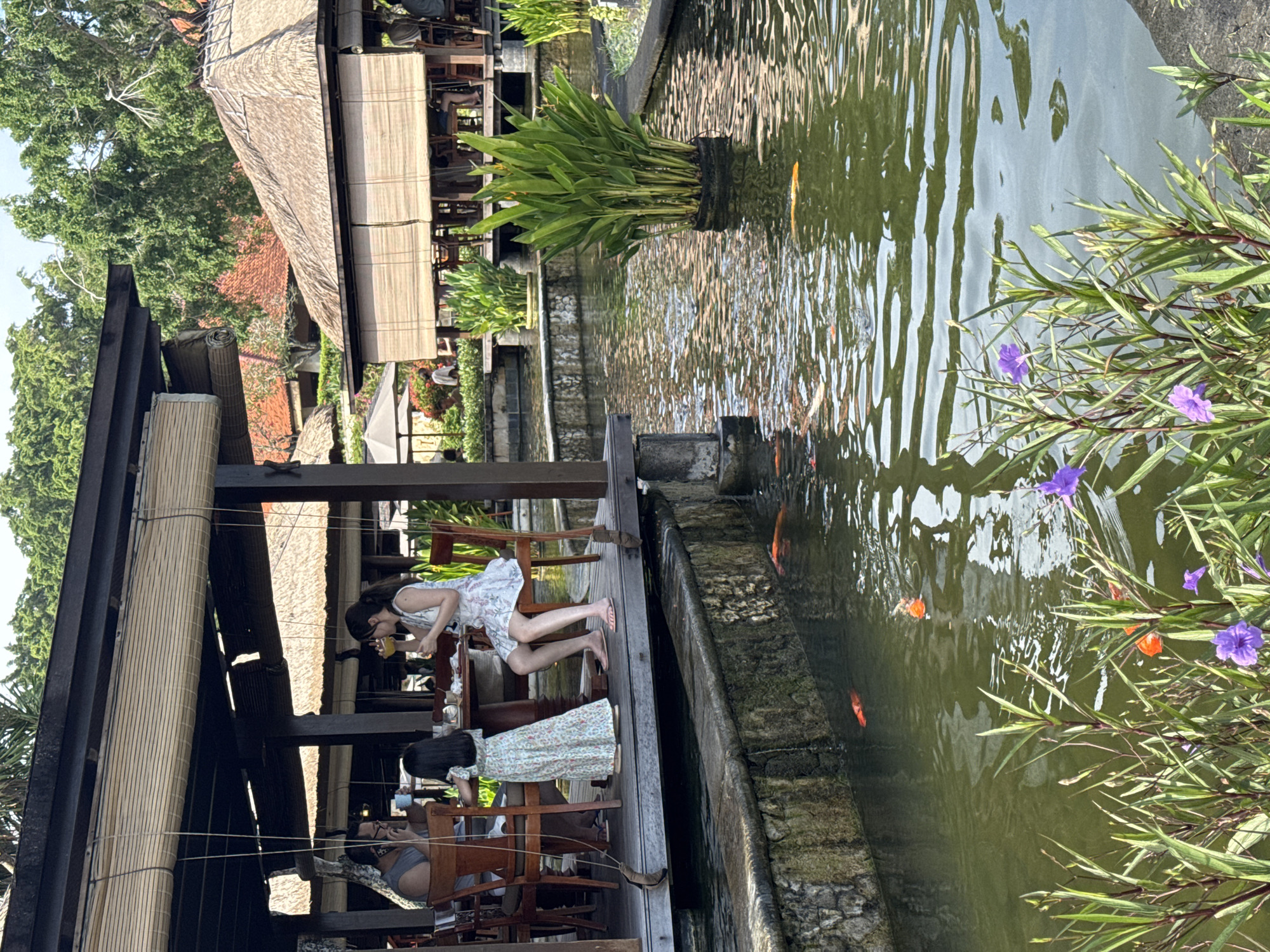 The image captures a scene at a restaurant in Kuta Selatan, Indonesia. Two women are seated at a table in an open-air structure with a thatched roof and bamboo siding. One woman, in a white floral dress, is drinking from a glass. Next to her, another woman is also seated at the table. The dining area overlooks a pond containing koi fish, with aquatic plants bordering the edge of the water. The surrounding environment includes trees and other buildings.