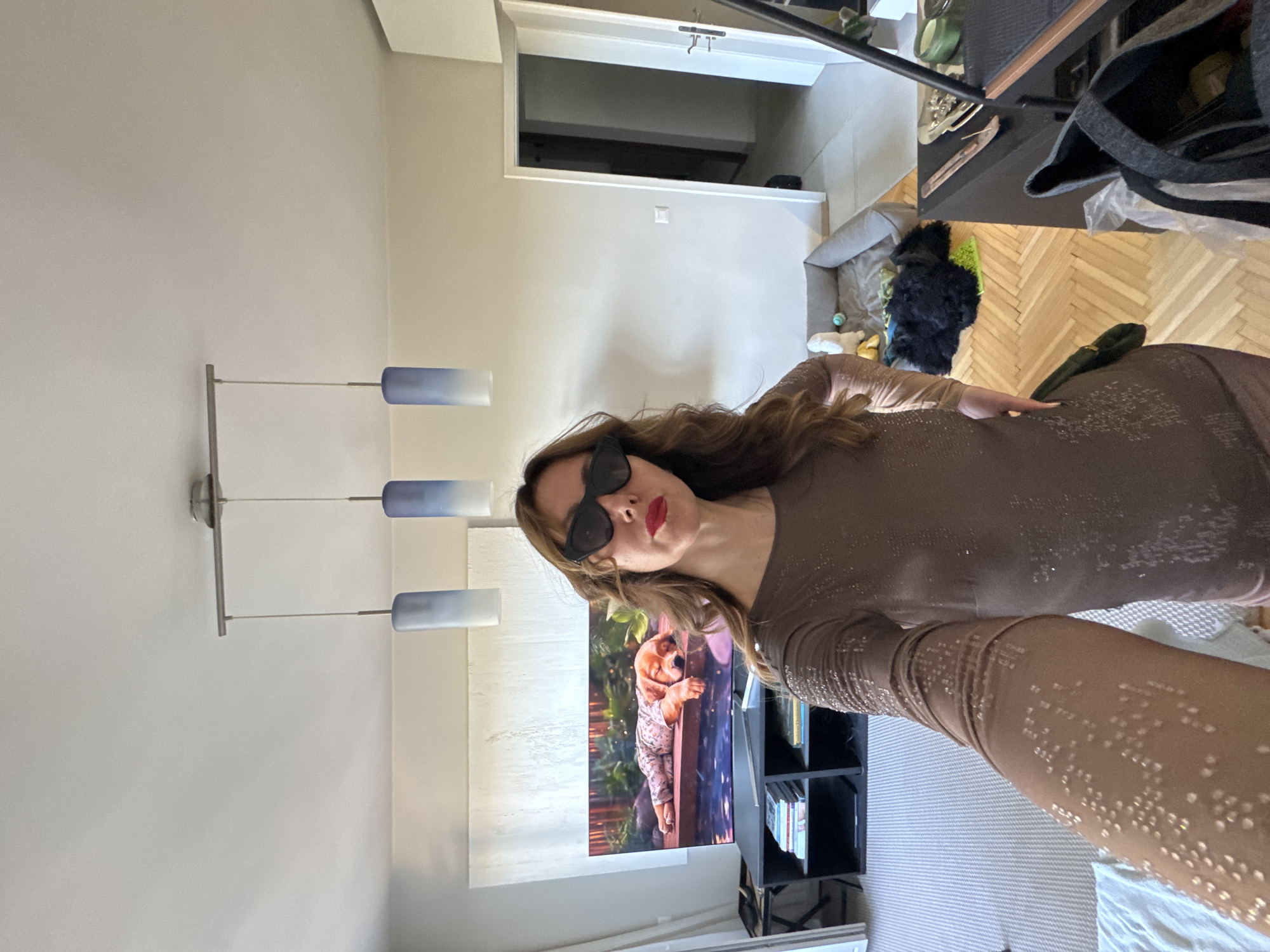 A woman with brown hair and sunglasses, wearing a brown dress, stands in a room. In the background is a TV showing an image of a dog. A modern lamp fixture hangs from the ceiling. The room appears to be a residential space. There is no indication of the location being Sofia, Bulgaria.