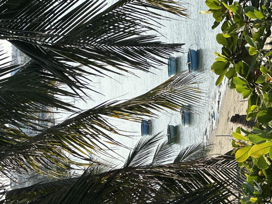 A beach view framed by palm leaves and other greenery. Several small blue boats float on the water near a sandy shoreline. A building is visible in the distant background on the left. The scene is bathed in daylight, giving a serene coastal impression.