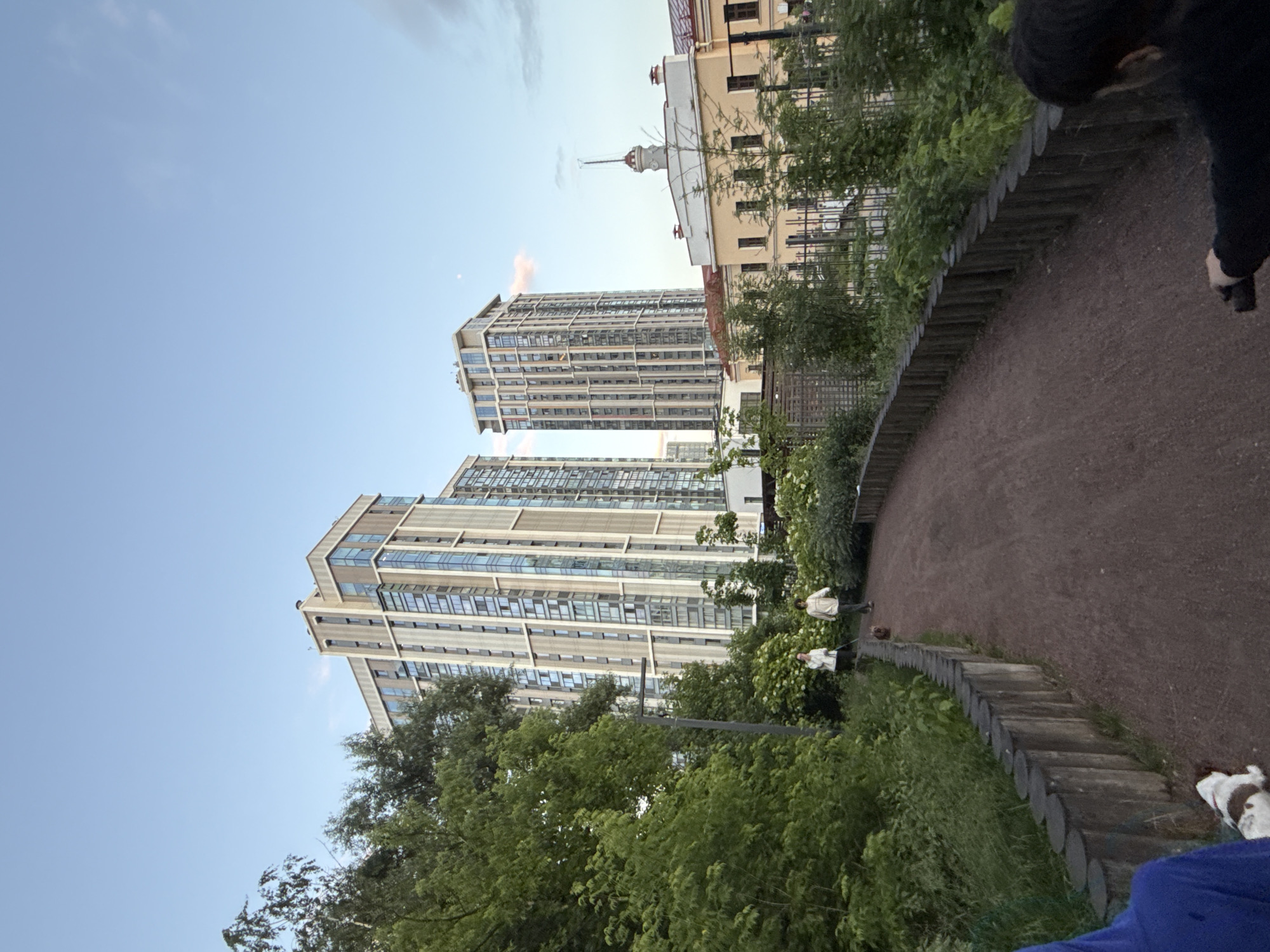This is a wide-angle, eye-level shot taken in the evening, likely in Moscow, Russia, due to the architectural style of the buildings. The scene depicts a park-like setting with a curved dirt path in the foreground, bordered by a low wooden fence made of vertical logs. Lush green trees and bushes line the path on both sides, with some white flowering plants visible.
Two people are walking on the path in the mid-ground, each accompanied by a dog. The person on the left is wearing a white jacket and jeans, and the person on the right is in a beige sweatshirt and dark pants. Their dogs, one brown and one white with brown markings, are also visible on leashes.
In the background, two modern high-rise apartment buildings with glass facades and beige exteriors dominate the skyline. To the right of the apartment buildings, a yellow building with a red roof and a tower-like structure on top is visible, which appears to be an older, more traditional building. The sky is clear with a soft blue hue, and a faint pinkish cloud is present.
In the immediate foreground, the shoulder and head of a person wearing a dark top are visible, suggesting they are either riding a bicycle or scooter, looking away from the camera. Part of a blue garment is also visible on the left. The overall atmosphere is peaceful and suggests a leisurely evening stroll.