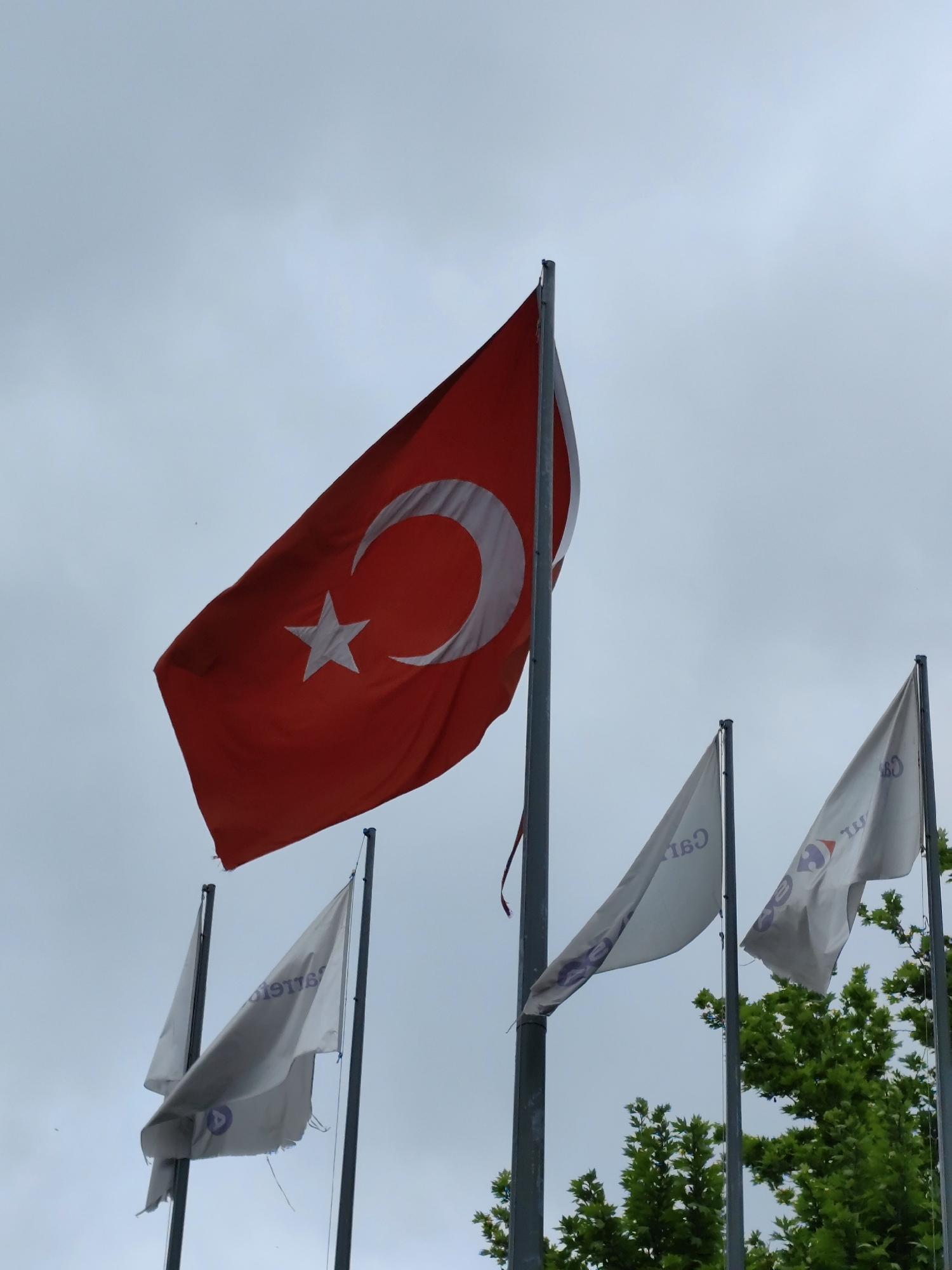 The image shows the Turkish flag prominently displayed on a flagpole, accompanied by several white flags. The flags are set against an overcast sky and some greenery, possibly trees, is visible near the bottom of the frame. The location is unknown.