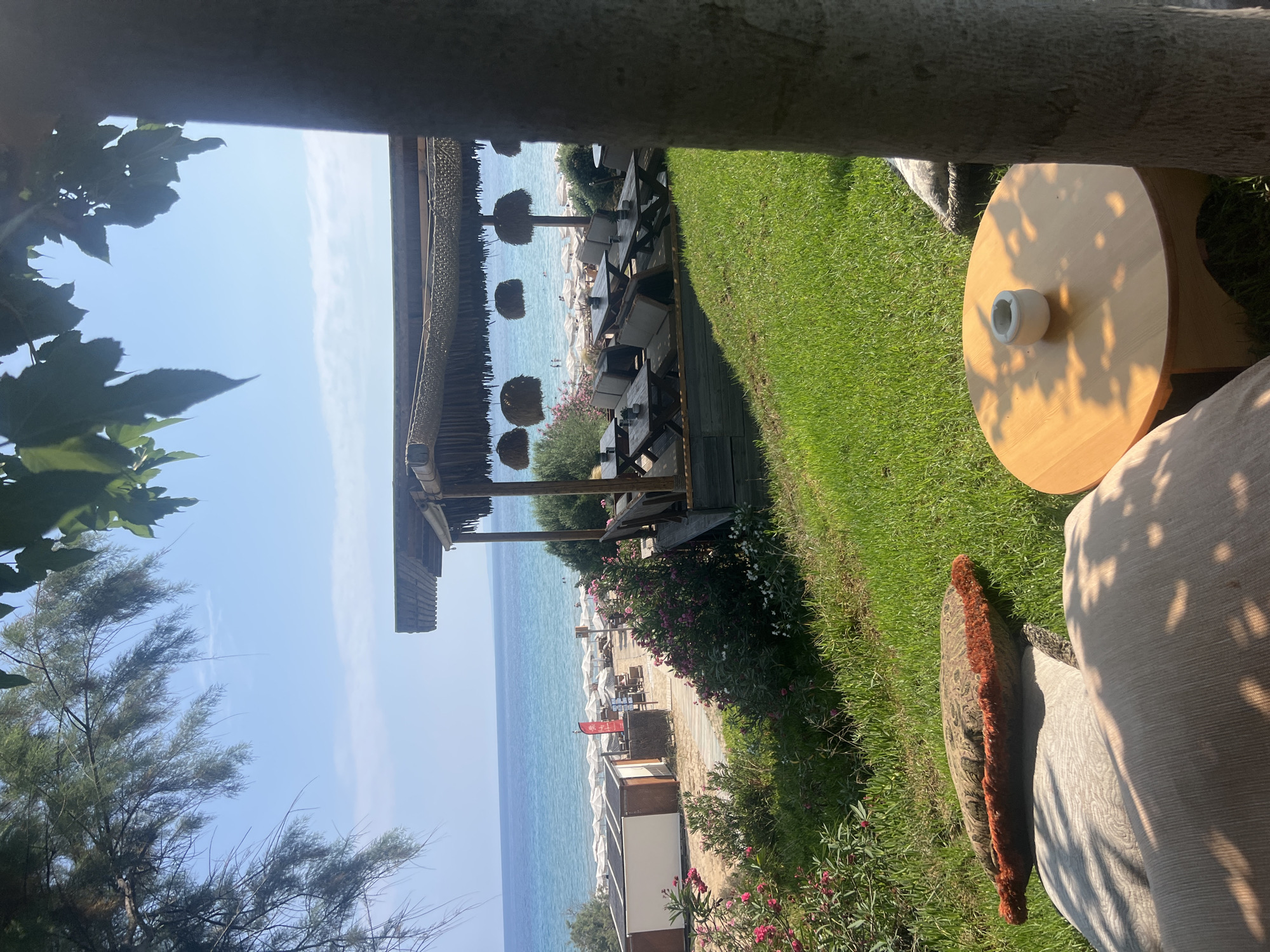 A bright, sunny outdoor scene shows a view of a beach and ocean from a grassy incline. In the foreground, large floor cushions are arranged on the lawn around a small wooden table. Behind the cushions, a large tree trunk is visible on the right. Further back, a covered seating area with wooden tables and benches is set up overlooking the beach. The beach itself is lined with white umbrellas and loungers. Beyond the beach, the turquoise ocean stretches to the horizon under a clear blue sky. Lush green grass and pink and white flowers cover the incline in the foreground.