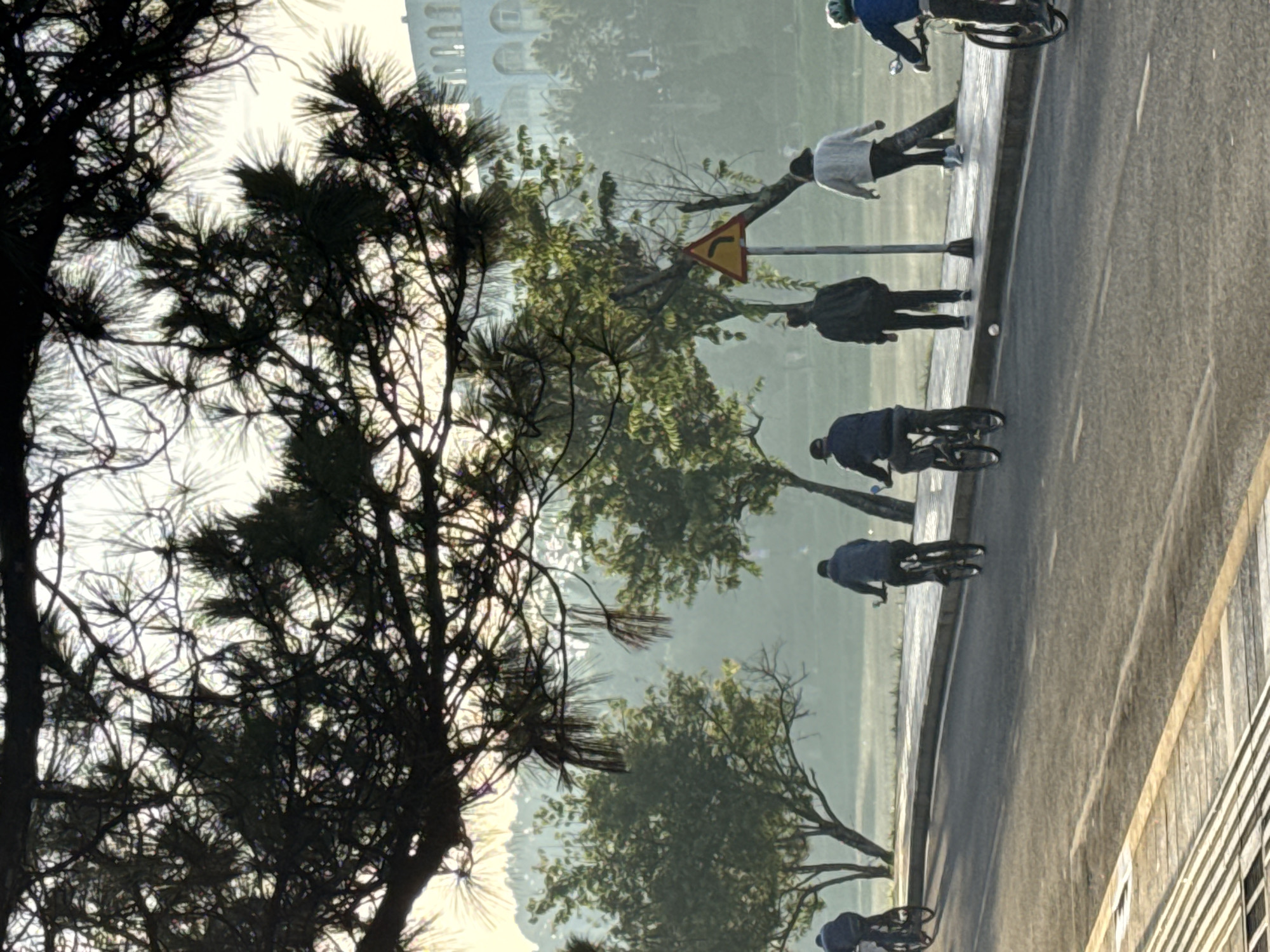 In Da Lat, Vietnam, at dawn, several individuals are seen cycling along a paved road lined with a sidewalk and a curb. The scene is bathed in the soft, golden light of sunrise, casting long shadows and creating a misty atmosphere that softens the distant background. Overhead, the dark silhouettes of pine tree branches frame the upper portion of the image.
On the road, five cyclists are visible. The leftmost cyclist is a person wearing a dark jacket and a cap, riding away from the viewer. Next to them, another cyclist in a dark jacket and black pants is also moving away. Further down the road, a person in a dark jacket is cycling, and beside them, a person in a white sweater and black pants is walking. On the far right, a cyclist wearing a blue jacket and a green helmet is riding towards the right edge of the frame.
The environment features sparse trees and vegetation along a grassy area or parkland adjacent to the road. In the background, a grand, white building with arched windows can be seen through the mist, hinting at the architectural style of the city. A yellow triangular road sign with a black arrow indicating a turn to the left is also present near a tree. The road itself has clear lane markings and a textured pedestrian path. The overall impression is one of a peaceful morning in a city known for its natural beauty and French colonial architecture.