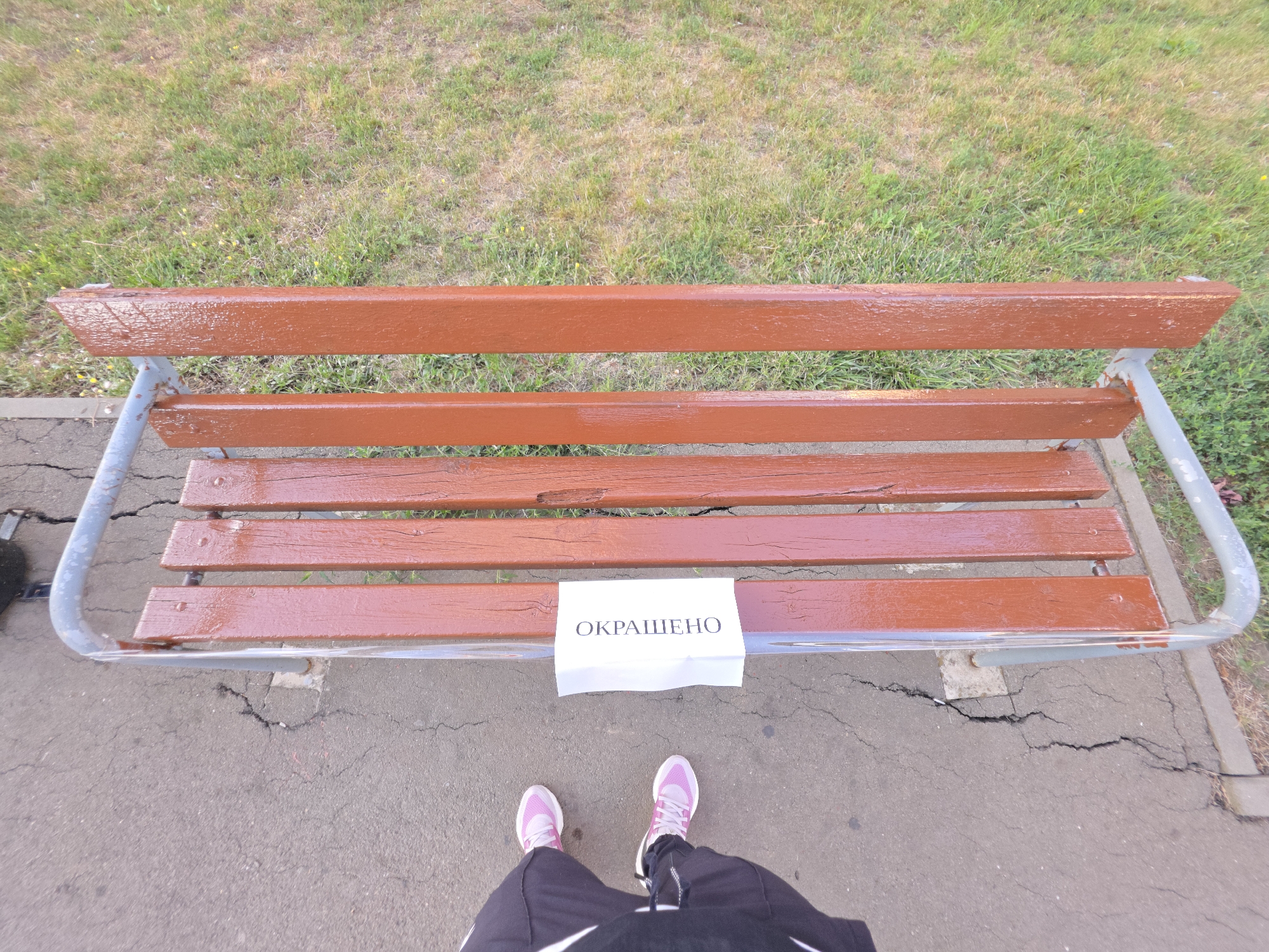 A pair of feet wearing pink sneakers and dark athletic pants is standing on a cracked asphalt surface next to a park bench. A white piece of paper with Russian text that reads "ОКРАШЕНО" (meaning "Painted") is placed on the bench. The bench has a brown, freshly painted wooden seat and a gray metal frame. The background consists of green grass. The scene appears to be a public park area.