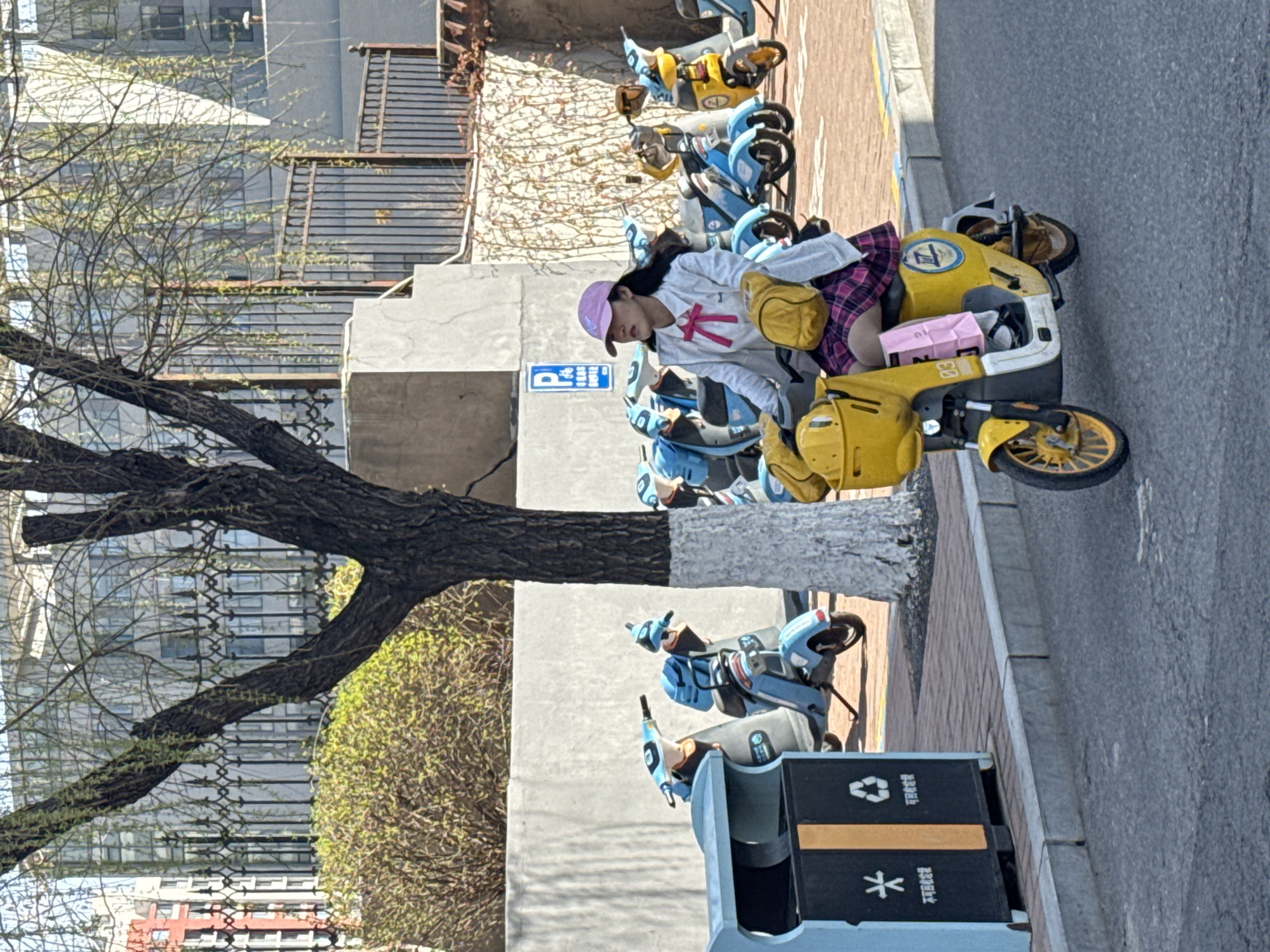 A sunny day in Zhongtun, China, reveals a tree with a partially white-painted trunk and budding leaves near a gray building with barred windows. A row of parked, shared electric scooters, predominantly yellow and blue, lines the sidewalk. A young woman with a purple hat, wearing a white shirt and plaid skirt, sits on a yellow scooter, possibly using her phone. A blue trash bin with Chinese recycling symbols and characters is situated on the sidewalk near the road.