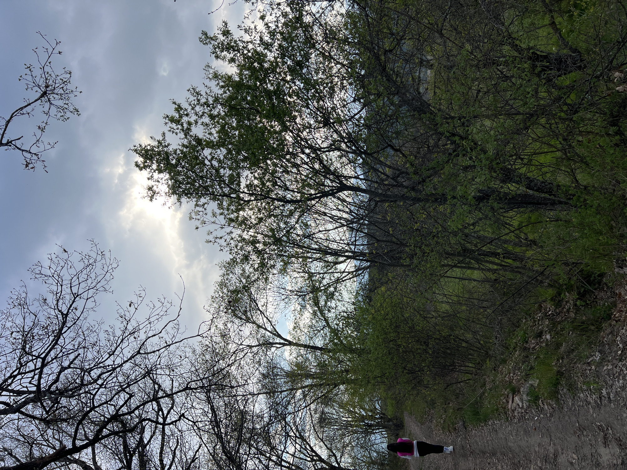 The image shows a path in a wooded area in Kribul, Bulgaria. The path is dirt and lined with trees and bushes on both sides. Some trees are bare, while others have green foliage. The sky is cloudy with the sun peaking through. A person is walking away from the viewer on the path wearing a pink jacket, black pants, and white shoes.
