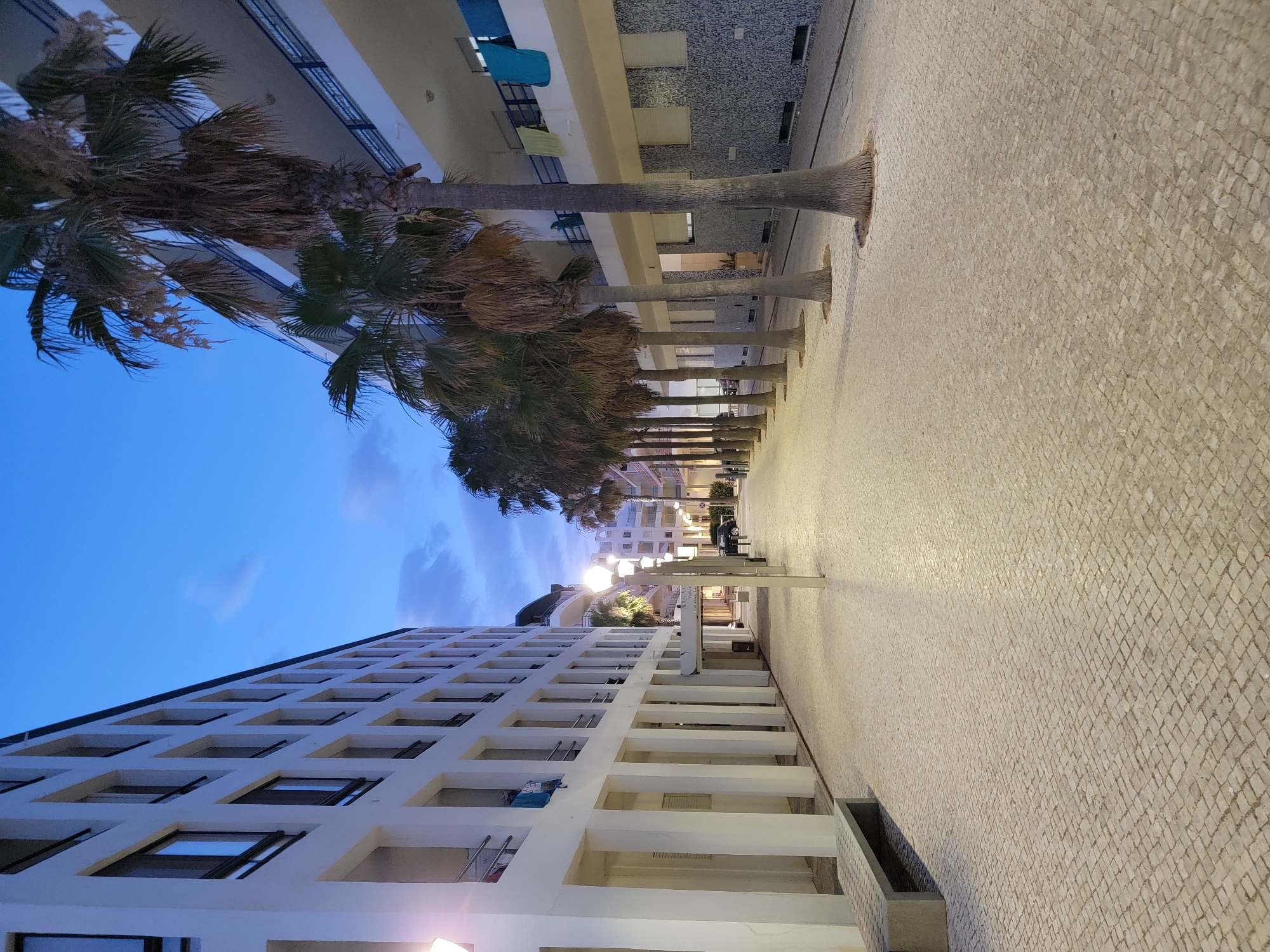 The image depicts a street scene in Quarteira, Portugal, characterized by a cobblestone pedestrian walkway lined with palm trees and modern buildings. On the left, a multi-story white building with numerous windows and balconies dominates the foreground. A concrete bench is visible on the left side of the walkway.
To the right of the walkway, a row of palm trees with rough, textured trunks stand between the street and another modern building. This building features balconies with railings and visible windows. Laundry, including a blue towel and a light-colored garment, hangs from a balcony railing in the mid-ground of the right side.
The walkway itself is paved with light-colored cobblestones. Streetlights are spaced along the right side of the walkway, casting a warm glow on the pavement. The sky above is a deep twilight blue with some wispy clouds. The overall impression is that of a well-maintained urban environment, likely a pedestrian promenade or street. The image appears to have been taken at dusk or early dawn.
