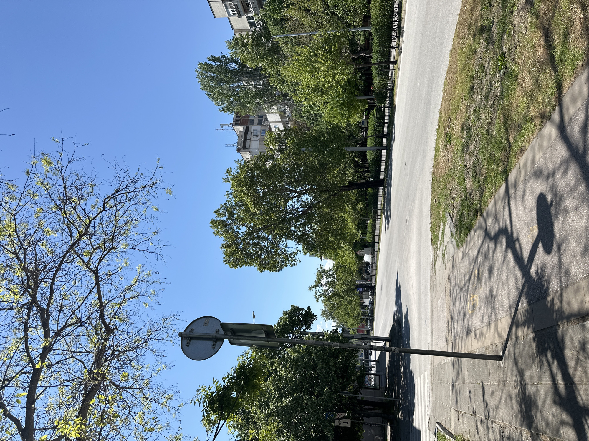 The image depicts a street scene in Plovdiv, Bulgaria, characterized by a clear blue sky and bright daylight. A pedestrian crosswalk stretches across the street, adjacent to a sidewalk. Trees with lush green foliage line the roadside, casting shadows on the pavement. A street sign, positioned to the left, is mounted on a metal pole. Buildings of medium height can be seen in the background. The vegetation is well-maintained, suggesting an urban environment. There are no people visible in the frame.