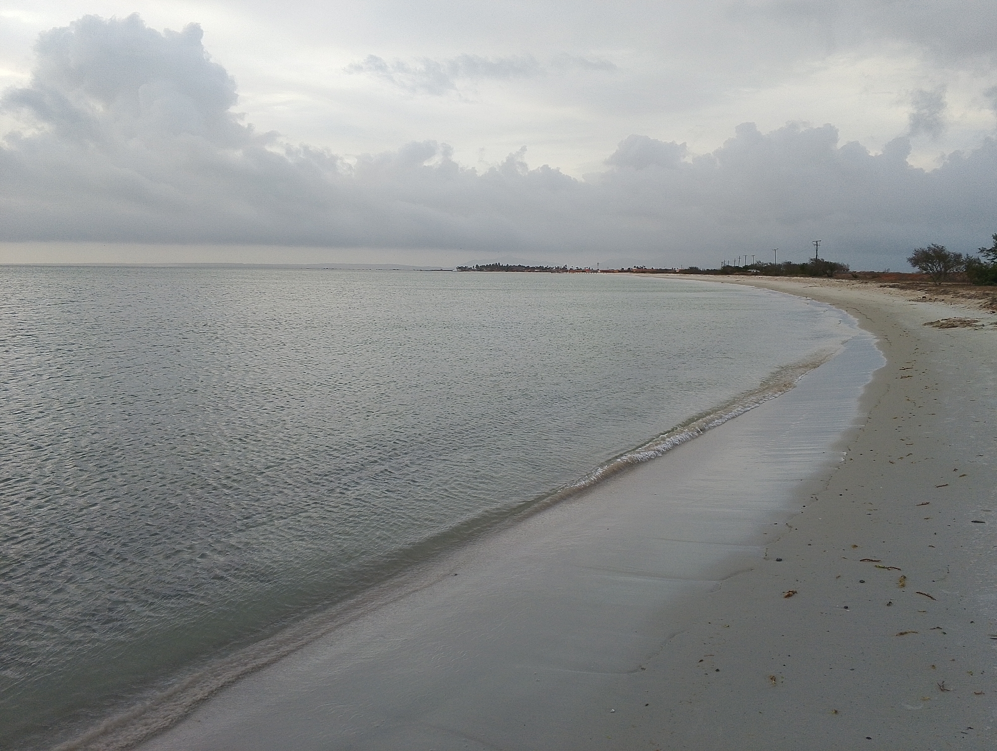 The image depicts a serene beach scene in San Pedro de Coche, Venezuela. The foreground features a sandy beach with scattered debris, including dried seaweed and small shells. The water's edge is marked by gentle waves lapping onto the shore. In the mid-ground, a vast expanse of calm, gray water stretches towards the horizon. The background reveals a distant coastline with sparse vegetation, including trees and some scrub brush. A few utility poles are visible along the coast, suggesting human presence or past development. The sky is overcast with heavy, gray clouds, contributing to a muted and somewhat somber atmosphere. There are no people or animals visible in the scene.