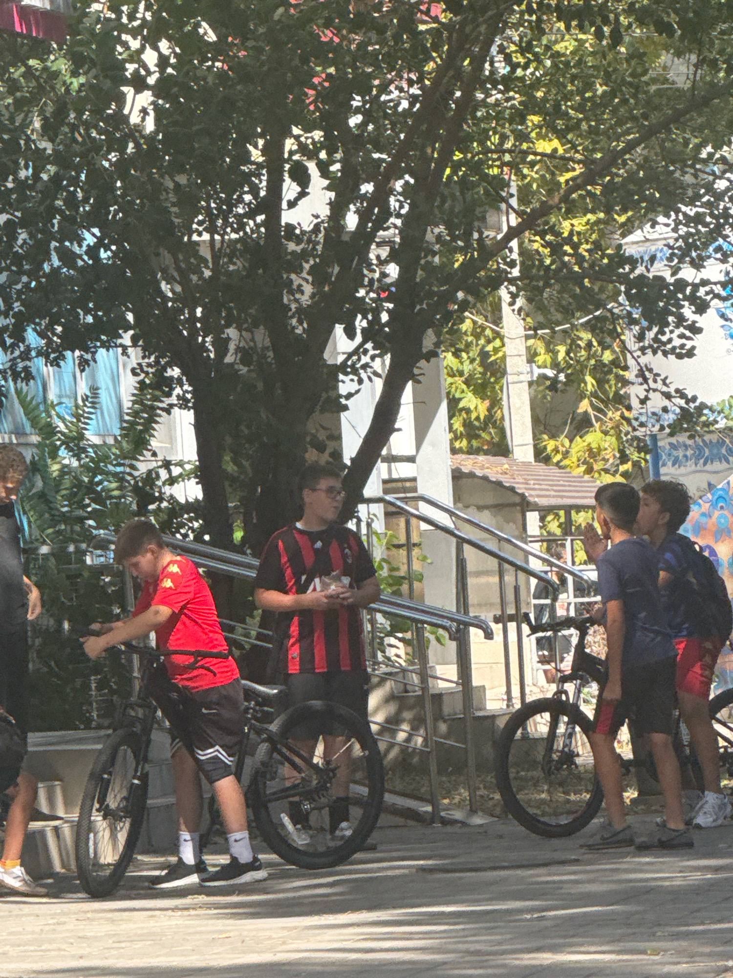 In Anapa, Russia, on a sunny day, four young individuals are gathered outdoors. One person on the left, partially obscured by a tree, appears to be standing next to a bicycle. To their right, a boy in a red shirt and black shorts is holding onto the handlebars of a bicycle, appearing to be interacting with it. Another boy, wearing a red and black striped shirt, stands nearby, holding a small object in his hands. Further to the right, two boys are standing together, one with his back to the camera and the other looking to the side. There are bicycles present, and the background shows architectural elements including stairs and a building. The scene takes place on a paved surface, with a large tree providing shade.