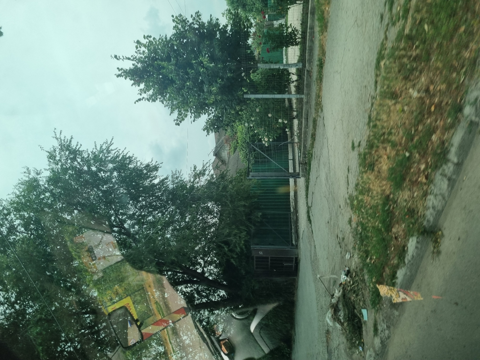 The image captures a reflection on a wet surface, likely a window, showing a street scene. On the left, a large tree with dense foliage dominates the foreground, its reflection overlaid with what appears to be a side-view mirror and some signage. Partially visible within the reflection of the tree is a large, metallic object with a curved surface, possibly part of a vehicle or sculpture.
To the right of the tree, a dark green corrugated metal fence runs horizontally, with a darker gate set into it. The gate has a metal frame and horizontal bars, with the number "32" visible on its left side. Beyond the fence, the tops of houses with tiled roofs are visible, obscured by more trees. A second fence, made of wire mesh, with a metal gate, is located further to the right, and behind it, rose bushes with white and red flowers are blooming. A mature, leafy tree stands behind this second fence.
The ground in the foreground is a paved surface with visible cracks, suggesting an outdoor area. To the left of the paved area, there is a pile of debris consisting of plastic bags, branches, and other refuse, next to a smaller green plant. A partially visible, colorful object, possibly a flag or banner, is propped up on the edge of the pavement. The sky is overcast, with a pale blue and gray hue. The overall impression is a somewhat neglected urban or suburban environment.