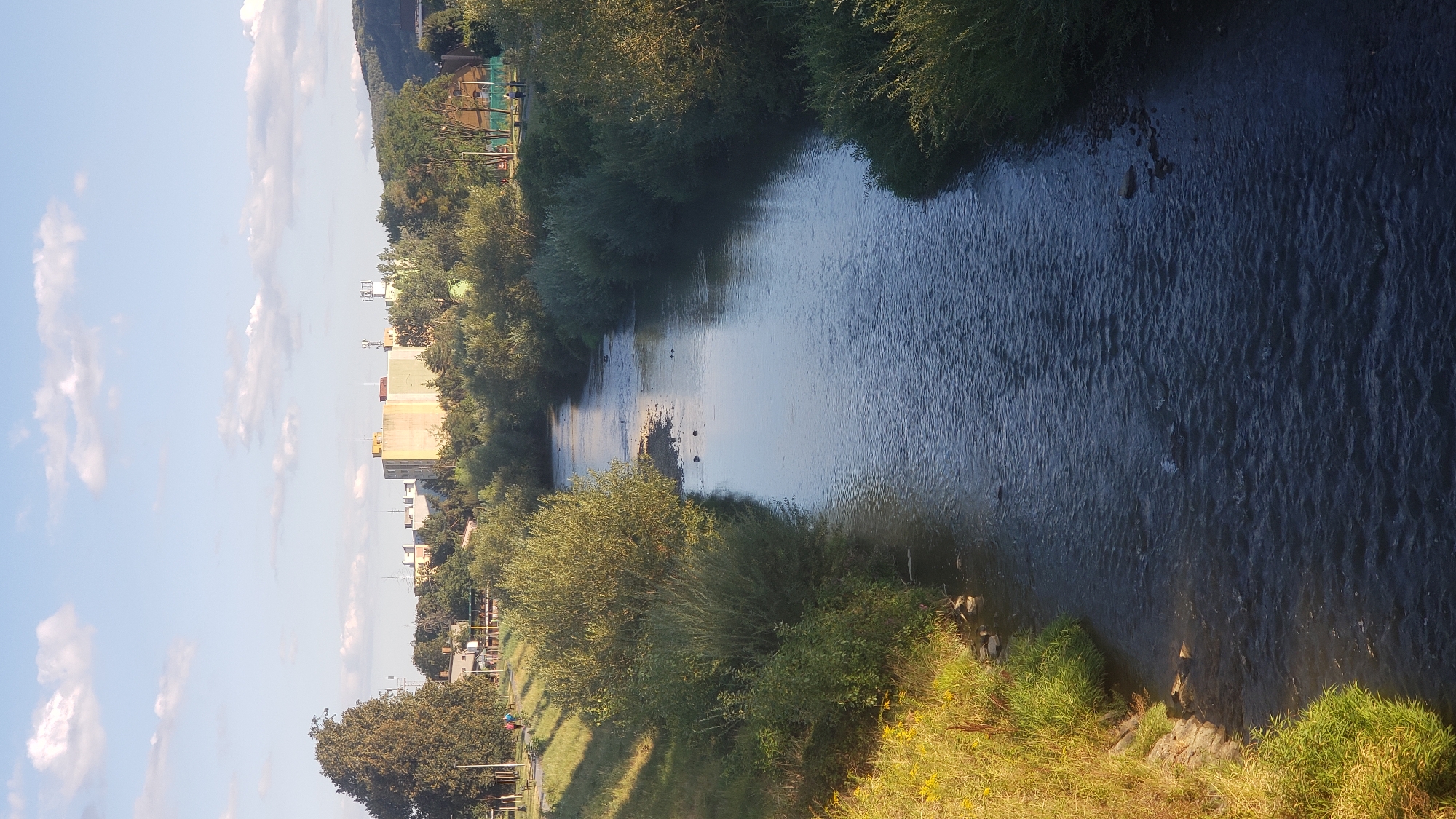 The image captures a scenic view of the Torysa River flowing through the city of Prešov, Slovakia. The river, with its gentle ripples, is flanked by lush green vegetation and trees on both banks. In the background, a prominent, light-colored building stands out against the backdrop of a blue sky dotted with white clouds. The scene suggests a tranquil afternoon in a park-like setting within the city, possibly near the Slávia district, known for its proximity to the river and green spaces. There are no people clearly visible in the frame, but the presence of a path and benches on the left bank indicates a public area. The overall atmosphere is serene and natural, highlighting the integration of the river into the urban landscape of Prešov.