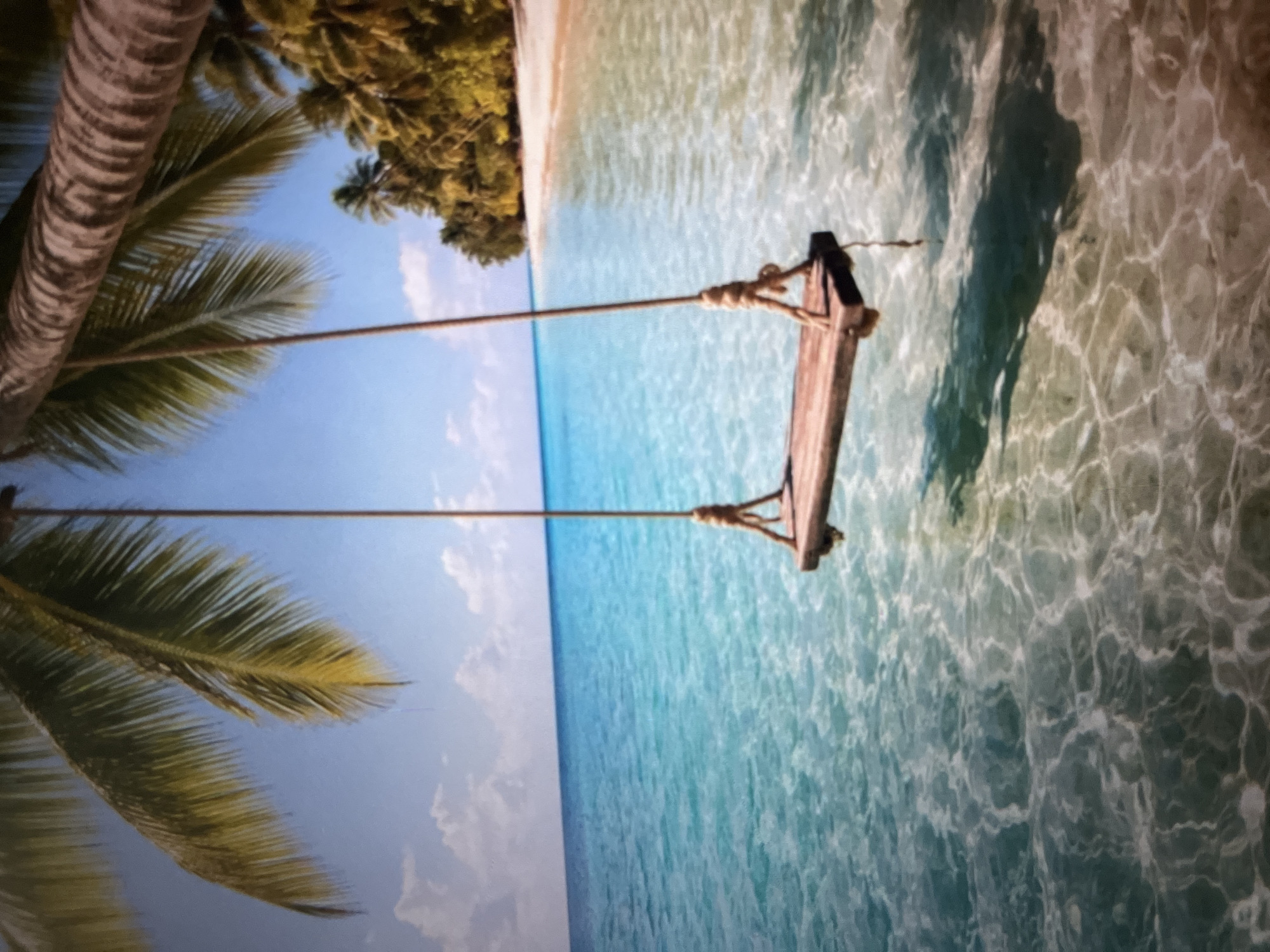 A wooden swing hangs from a palm tree over a clear turquoise ocean. The swing is made of a single plank of wood suspended by two thick ropes. The water is so clear that the sandy bottom is visible, and light shimmers on the surface. In the background, a white sand beach is lined with lush green palm trees. The sky is a bright blue with a few scattered white clouds. The scene evokes a sense of peace and relaxation. The location is Unknown, Unknown.