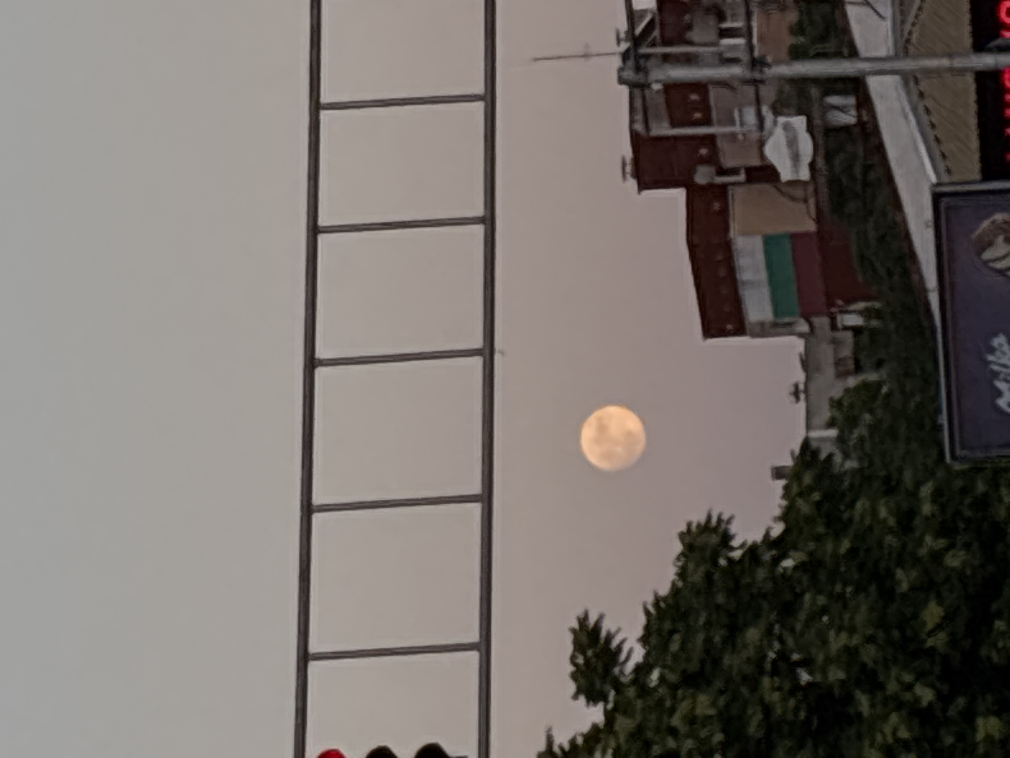 A full moon is visible in a hazy sky above a city. A traffic light with a red light illuminated is present in the upper left corner, partially obscured by a metal structure. In the foreground, a dark green tree is on the left side of the image. Behind the tree and to the right, buildings with red and beige brick facades are visible. Some of the buildings have a striped pattern of white, green, and red. A utility pole with wires runs down the right side of the image. A billboard with a purple background and text is visible at the bottom of the image. The overall lighting suggests dusk or dawn.