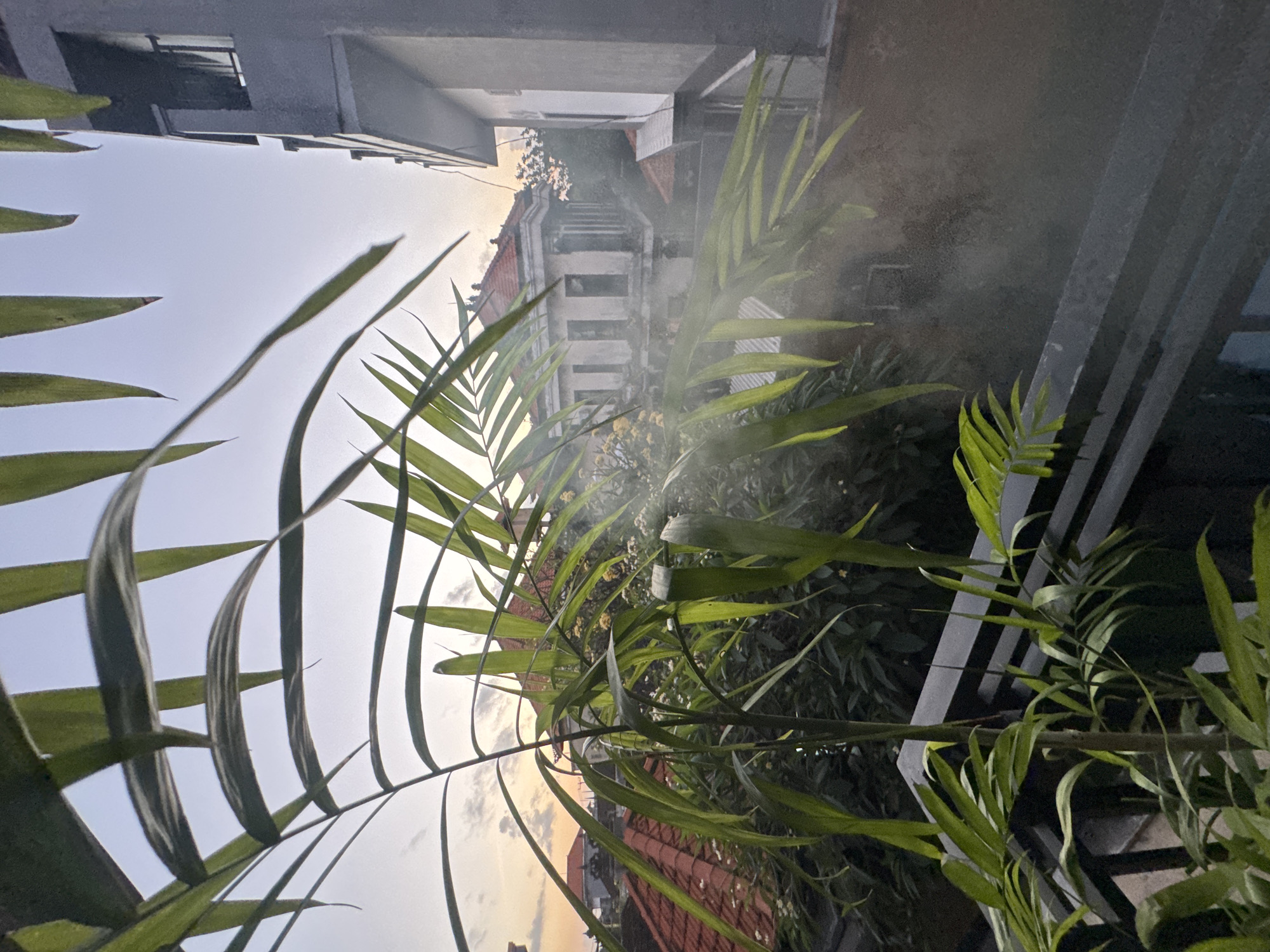The image depicts a balcony in Kuta, Indonesia, with a palm plant in the foreground. Beyond the balcony, traditional Indonesian architecture is visible, including houses with red tile roofs. A modern building stands to the right, and a hazy mist hangs in the air, possibly from a humidifier or a light fog. The sky is a soft orange and blue, indicating either sunrise or sunset. There are no people visible in the image.