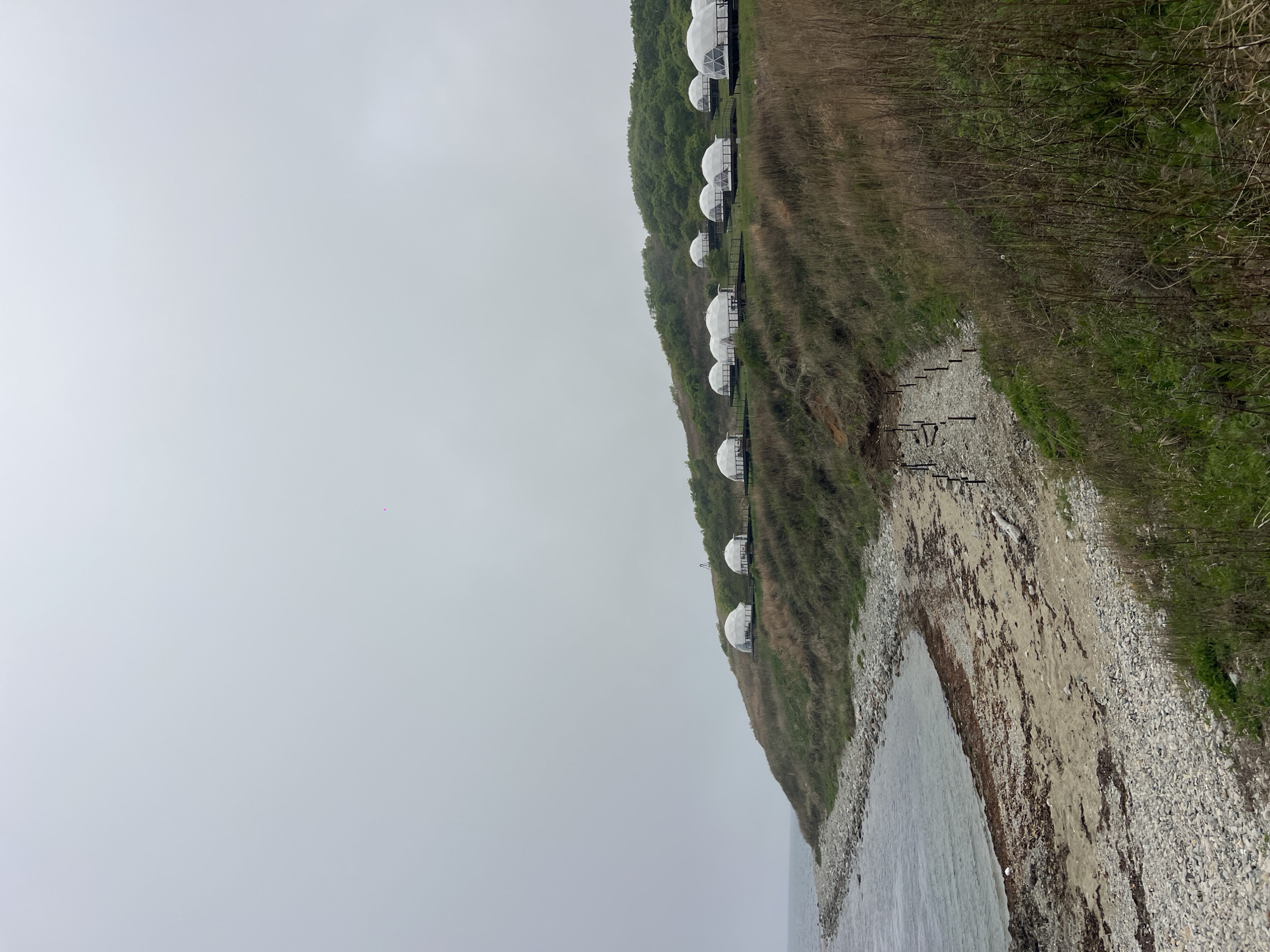 The image shows a coastal landscape, potentially in Zarubino, Russia, as indicated in the query. The scene includes a cliff overlooking a beach with rocky and sandy areas bordering the water. The water appears calm and reflects the overcast sky. On top of the cliff, a row of white, dome-shaped structures is situated. These structures, possibly glamping accommodations, extend along the cliff edge amidst green vegetation and brown, dry grass. A series of vertical posts can be seen along the cliff edge down to the beach. The sky is a uniform gray, suggesting a cloudy or foggy day. The landscape's natural features contrast with the manufactured domes, resulting in a distinct visual composition.