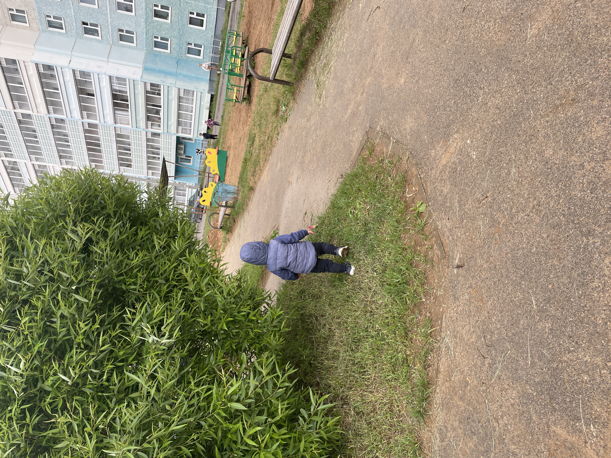 A young child, seen from behind, wearing a blue hooded jacket, black pants, and white shoes, walks on a patch of grass next to a paved pathway. The scene is an outdoor residential area in Perm, Russia, likely a courtyard or playground.
To the left, a large, leafy green bush fills the foreground, obscuring part of the view. A grey asphalt path runs diagonally from the mid-right towards the upper left, separating the grass patches. In the background, a tall, multi-story apartment building with light blue and white sections and numerous windows stands prominently.
Near the building, a playground area is visible, featuring a green and yellow merry-go-round, a yellow spring rider, and a wooden bench. Several blurry adult figures can be seen standing or walking near the playground and the apartment building. The architecture of the building is characteristic of post-Soviet era residential blocks. The lighting suggests a daytime setting, possibly overcast, with no direct sunlight. No discernible text is visible in the image.