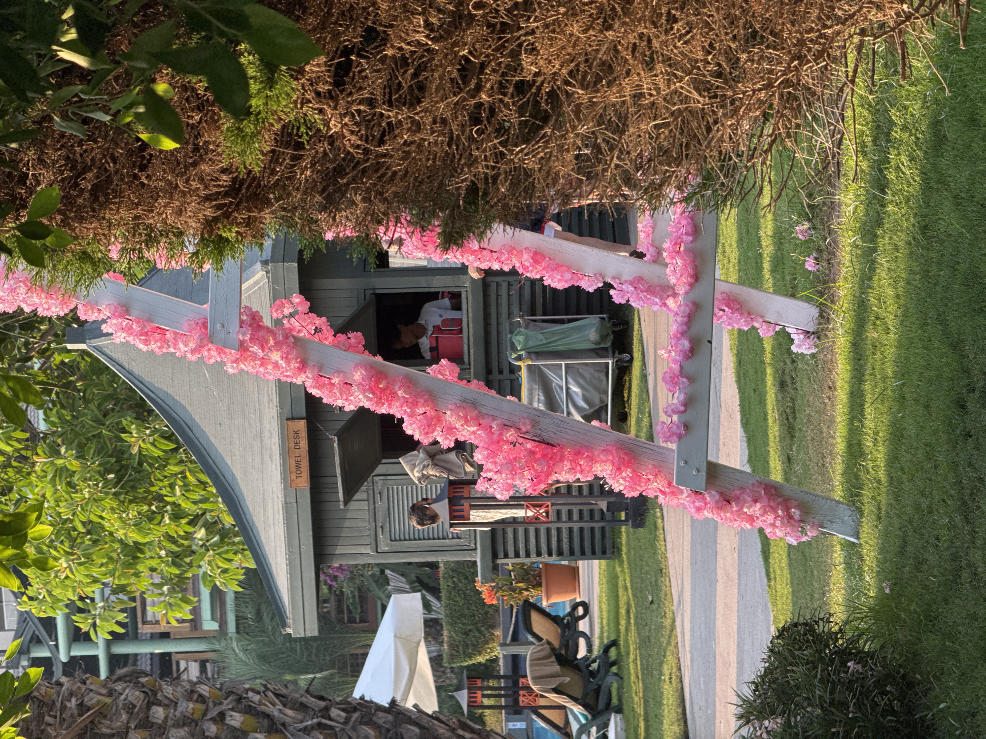 This is a close-up, eye-level shot of a wooden ladder decorated with artificial pink flowers. The ladder is positioned outdoors in front of a green wooden structure, likely a towel desk, with a sign that reads "TOWEL DESK". A person wearing a white shirt and red apron is visible behind a window of the structure, attending to something. To the left of the structure, there are lounge chairs near a swimming pool, and further in the background, there are buildings with green accents. To the right of the ladder, a large brown shrub with dense branches partially obscures the view. The scene is illuminated by natural sunlight, casting shadows on the well-maintained green grass in the foreground. The setting appears to be a resort or hotel in Aksu, Turkey.