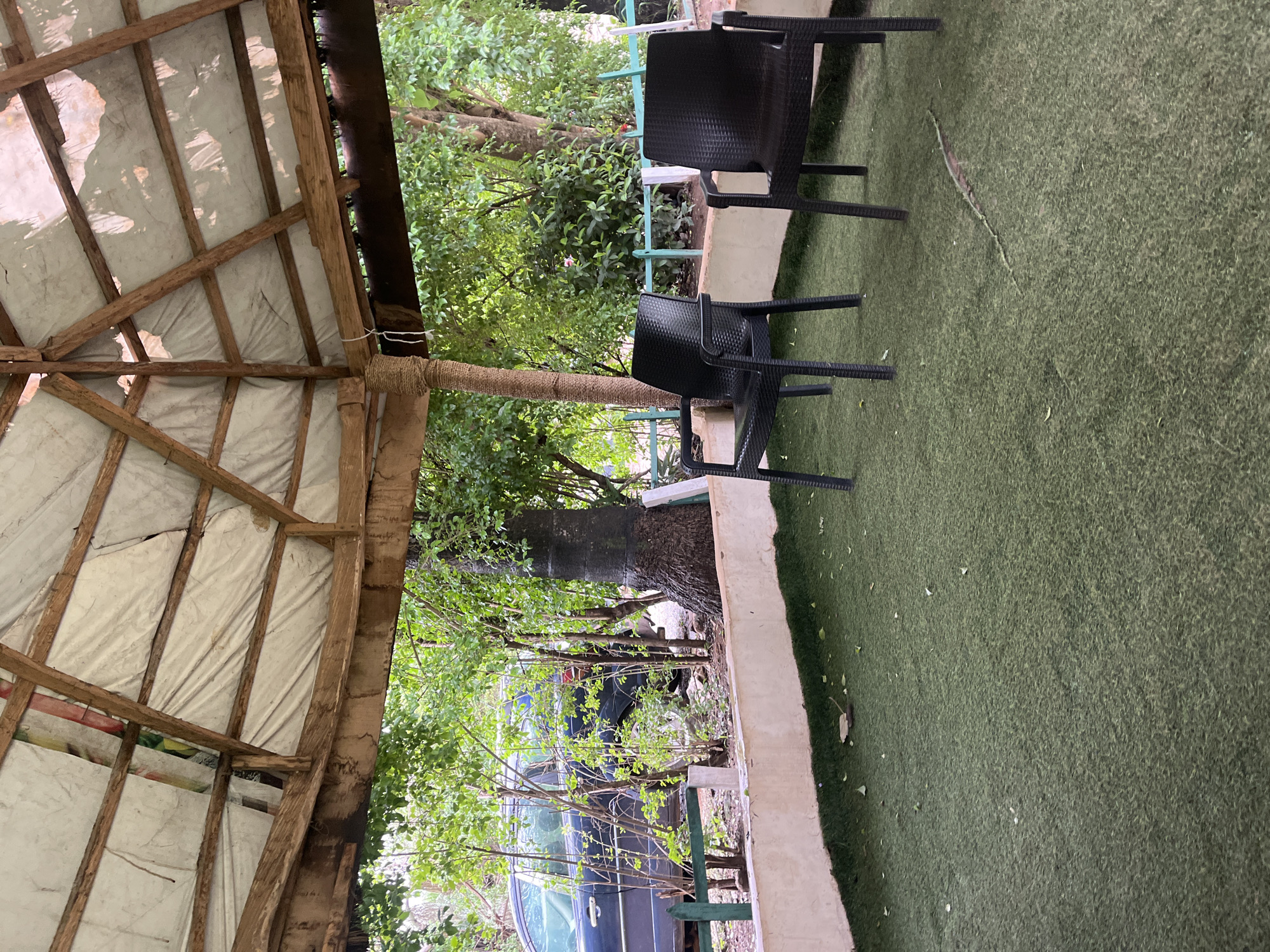 This image captures an outdoor sheltered seating area in Galadimawa Village, Nigeria, observed from an interior perspective looking outward. The overhead structure consists of a multi-sided wooden framework supporting a light-colored canvas or tarpaulin roof, exhibiting tears and exposing glimpses of underlying colored material. A central wooden support pillar is wrapped with light-brown rope. A low, light-beige plastered wall demarcates the immediate foreground, topped in sections by dark green wooden picket fencing.
The ground beneath the shelter is covered with dark green artificial turf, displaying signs of wear, including a prominent horizontal seam or tear in the lower right. Scattered leaf debris is present on the turf. Two black, synthetic wicker-style chairs with armrests are positioned on the turf, facing the exterior.
Beyond the low wall and fencing, the environment features dense green vegetation, including numerous shrubs and trees. A large tree trunk with distinct bark is visible on the right. A dark-colored sedan or small SUV is partially visible, parked amidst the foliage on the left. No individuals are present, and no actions or interactions are occurring. The scene is illuminated by diffused, natural light, indicating an outdoor daytime setting.