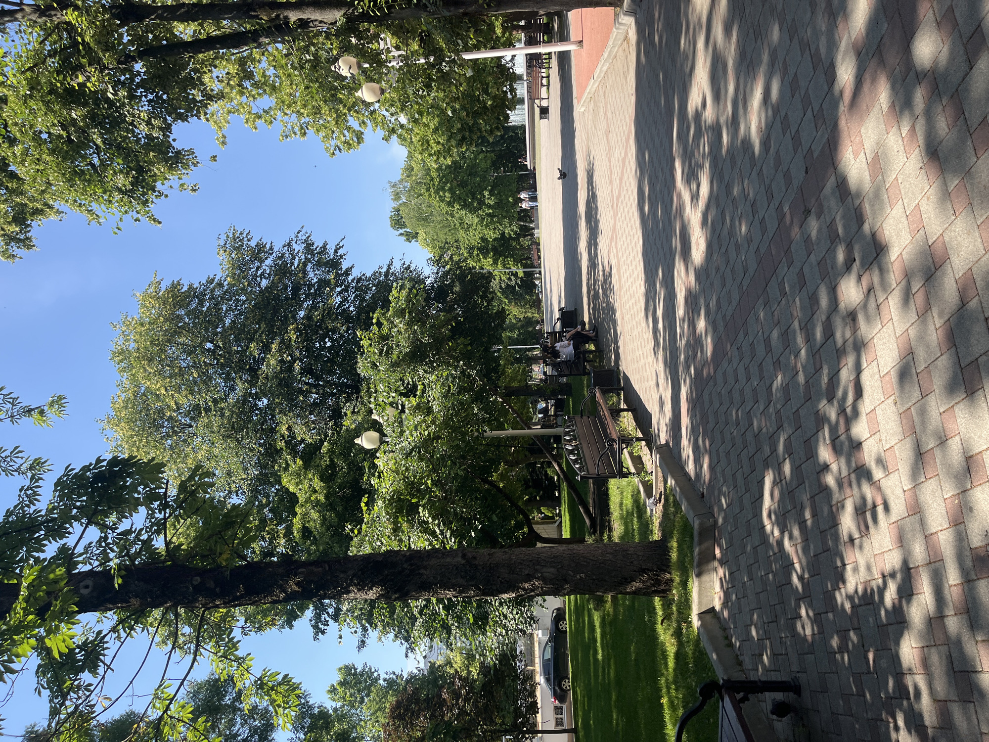 The image depicts a paved walkway in a park or public garden. The walkway is laid with rectangular pavers in a pattern of beige and red. Sunlight filters through the dense canopy of mature trees lining the path, casting dappled shadows on the ground.
On the left side of the walkway, a grassy area is visible, with a dark-colored sedan parked on what appears to be a street or additional parking area behind a low wall. Several park benches are placed along the edge of the walkway, some occupied by individuals. In the foreground, a dark metal bench with wooden slats is prominent.
In the background, more trees create a lush green backdrop, and in the distance, several people are walking. A streetlamp with a decorative white globe stands near the walkway. The sky is clear and blue, indicating fair weather. The scene suggests a public space designed for relaxation and recreation.
The image was taken in the Public Garden named after the Revolution of 1905 in Krasnodar, Russia.