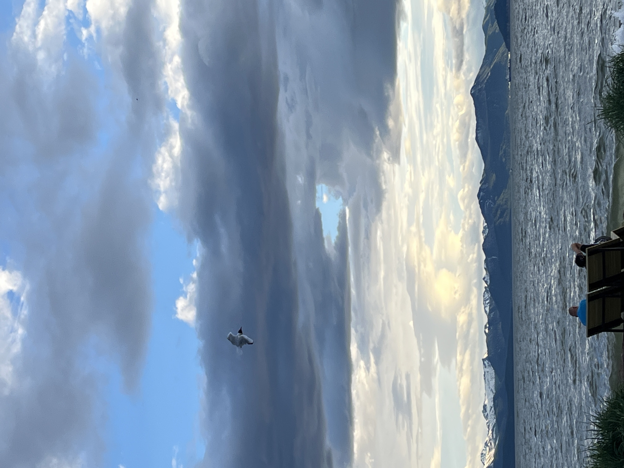 An aerial view captures a bird in flight against a cloudy sky. Below, a body of water with ripples stretches towards a distant mountain range. Two individuals are seated on lounge chairs facing the water and mountains. The scene is set in Ketkino, Russia.
