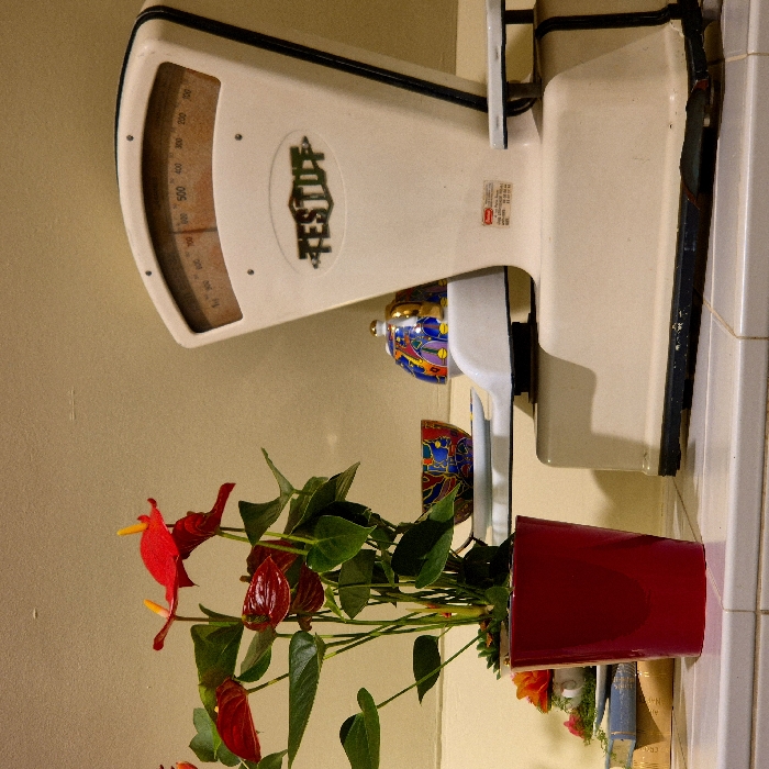 The image displays an indoor scene featuring a vintage kitchen scale and a potted plant, set against a light-colored wall and what appears to be a tiled surface.
In the upper left portion of the frame, a cream-colored, retro-style kitchen scale is prominently visible. It has a rounded, rectangular face with a clear cover over its dial, which displays numerical markings from 0 up to at least 500, likely indicating weight in grams. The numbers are black against a light background. The brand name "TESTUT" is clearly embossed or raised in a stylized dark font in the center of the scale's body, below the dial. The scale is outlined with dark trim lines, enhancing its classic appearance. A small, unreadable red rectangular label or sticker is affixed to the right side of the scale's body.
Below the scale and extending into the lower right of the image is a vibrant Anthurium plant, commonly known as the Flamingo flower. It features several distinctive, glossy, heart-shaped red spathes, some with prominent yellow spadices, along with numerous dark green, ovate leaves. The plant is housed in a shiny, deep red cylindrical pot, which occupies the bottom right corner of the image.
Behind the plant and beneath the main platform of the scale, there are decorative elements. A small, lidded ceramic jar or pot with intricate patterns in blue, gold, and other bright colors, topped with a small golden knob, sits on a surface. Partially visible just below this lidded jar is another colorful bowl or cup, also adorned with vibrant red and blue patterns.
The background consists of a plain, light brown or beige wall. To the far right, a vertical section of white tiled surface is visible, suggesting a kitchen or utility area. In the very bottom right corner, beneath the red plant pot, a glimpse of another arrangement can be seen, possibly including a small bouquet of orange flowers and the spines of old books with aged pages.
The lighting in the image appears warm and diffused, creating a cozy and domestic atmosphere.