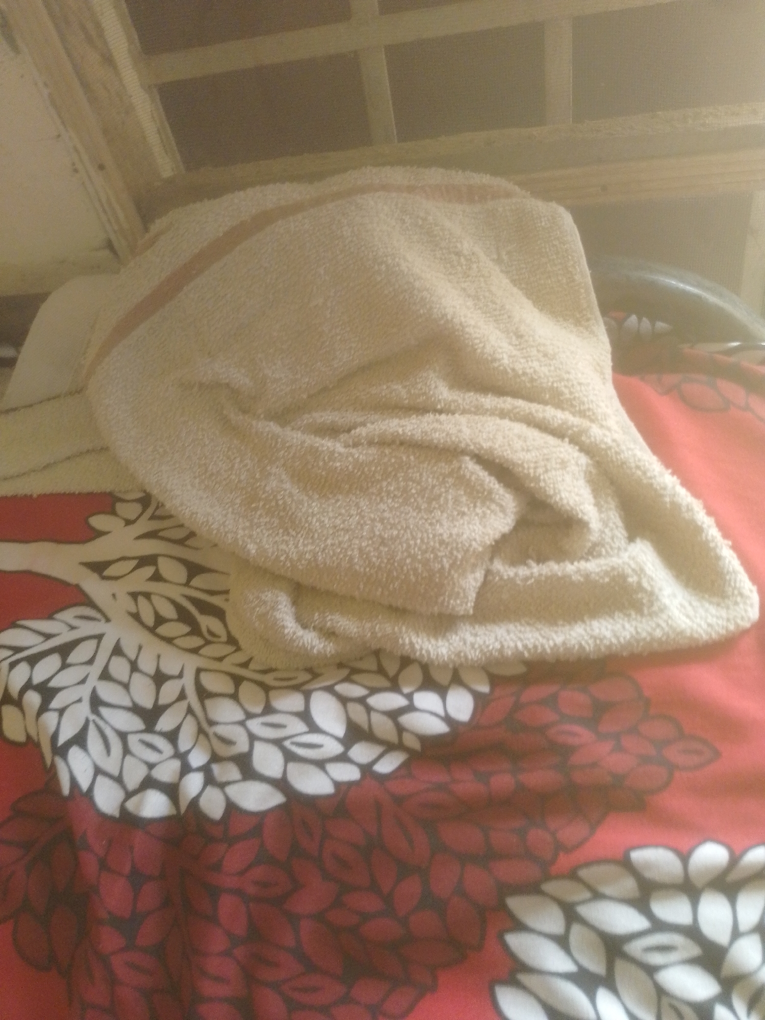 A close-up shot shows a crumpled beige towel resting on a red and white patterned sheet. The towel has a thin, lighter-colored stripe running across it. The sheet features a repeating pattern of stylized leaves or petals, with some areas in white with black outlines and others in deep red with dark outlines. The background is out of focus and appears to be the underside of a wooden structure, possibly a bed frame or ceiling, with visible wooden slats. The lighting suggests it might be indoors, possibly in dim light, as there is a noticeable haze or glare over the image. There is no visible text. The scene appears still and quiet, with no discernible activity taking place. The focus is on the textures of the towel and the sheet, and the arrangement of the towel suggests it has been recently placed or moved.