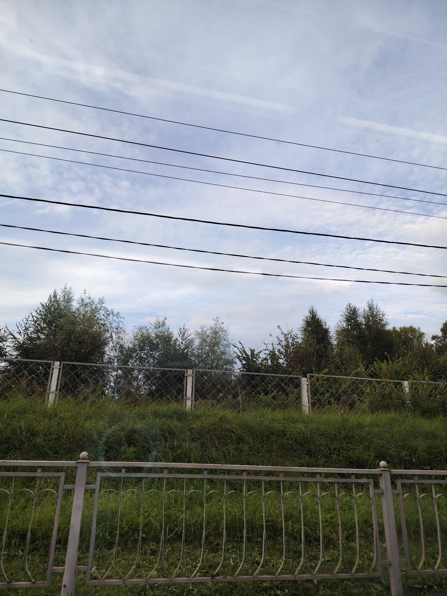 The image depicts an outdoor scene under a cloudy sky with visible power lines stretching horizontally across the frame. In the foreground, there is a metal fence with decorative elements and vertical bars. Behind this fence, a grassy slope rises, topped by a chain-link fence. Beyond the chain-link fence, a dense line of trees and bushes forms a natural backdrop against the sky. The overall environment suggests a semi-urban or naturalistic setting, possibly near a park or a less developed area of a city. There are no people or animals visible in the image, and no specific actions or interactions are occurring. The lighting indicates daytime, with diffused sunlight due to the cloud cover.