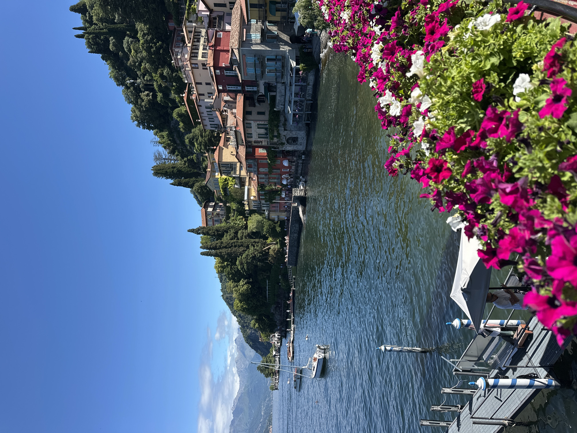 This is a photograph taken in Varenna, Italy, showcasing a picturesque lakeside scene. In the foreground, vibrant pink and white petunias spill out from planters, creating a colorful border. A metal pier with blue and white striped poles extends into the dark blue water. A person in a light-colored shirt stands under a white umbrella on the pier. In the middle ground, several boats are moored in the lake, including a white sailboat with a red stripe on its hull. The town of Varenna is visible on the right, with its characteristic colorful buildings cascading down a steep, tree-covered hillside. The architecture features a mix of red-tiled roofs and pastel-colored facades. Further in the background, majestic mountains rise against a clear blue sky, with a few wispy clouds. The overall impression is one of a serene and beautiful Italian lakeside village on a sunny day.
