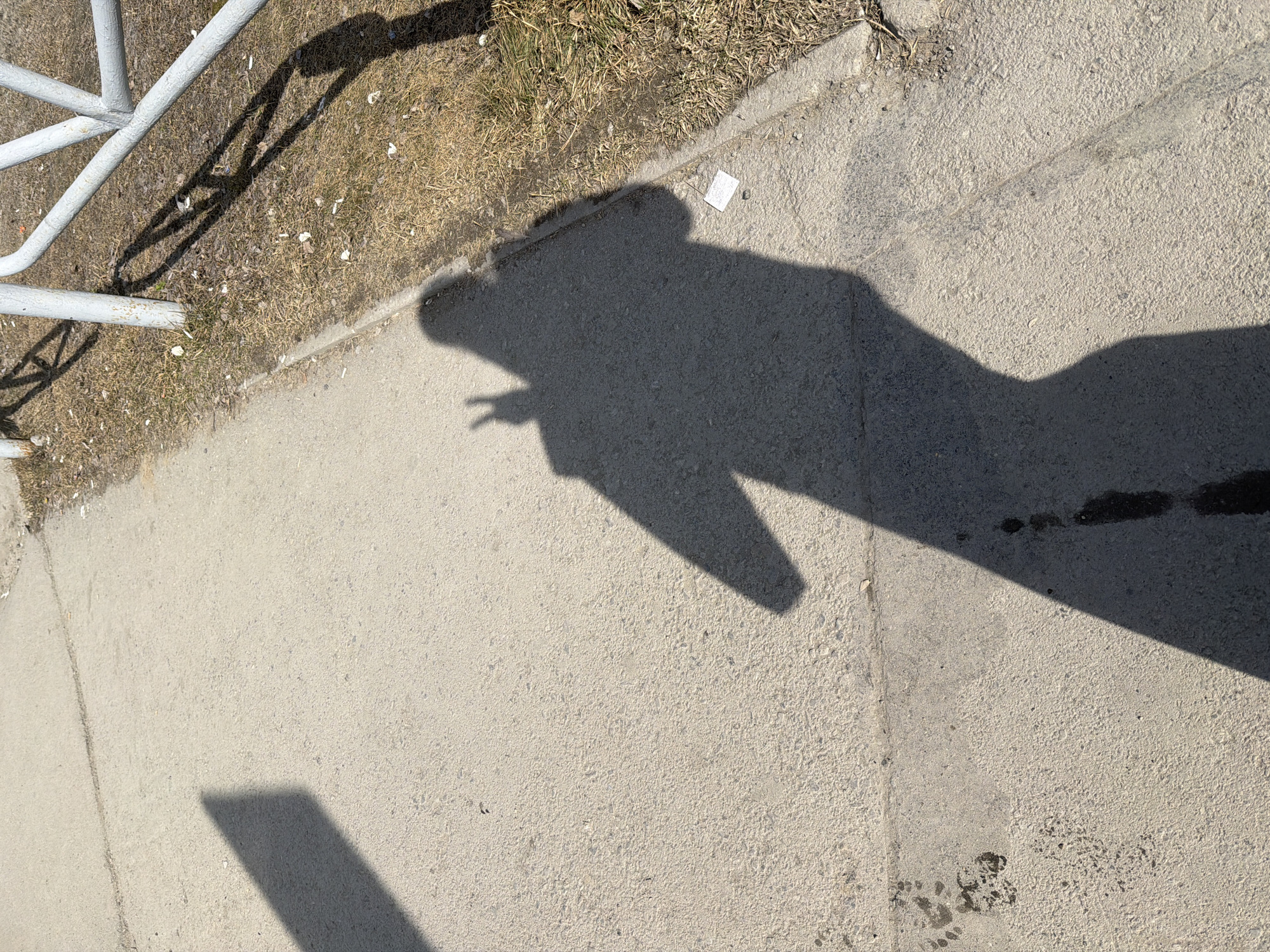 The image depicts an outdoor scene. A concrete sidewalk occupies the foreground. The left edge of the frame shows a white metal railing and a strip of dry grass and bare earth. A dark shadow, likely of a person, stretches across the sidewalk. The shadow appears to include a hand gesture, possibly a peace sign. The ground is uneven. Dark discoloration marks are visible on the sidewalk surface, appearing in the lower right. A small, white rectangular object rests on the sidewalk near the grassy area. The location is Berezniki, Russia, based on prior information.