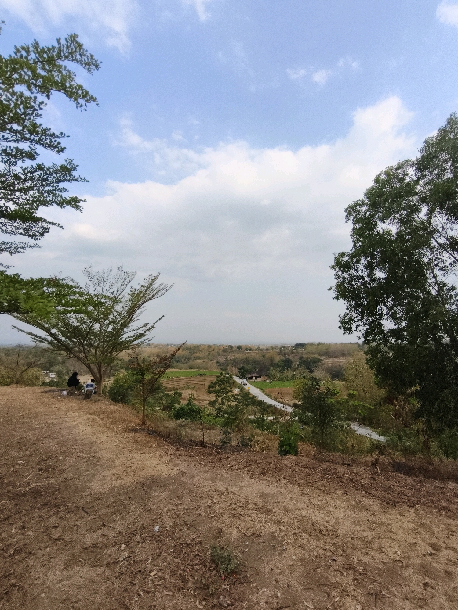 A high-angle, full shot captures a scenic view of a rural landscape in Rejosari, Indonesia, under a partially cloudy blue sky. In the foreground, a dirt path is covered with dry leaves, with a large, sparse tree on the left and another dense, green tree on the right framing the scene. Two individuals, one wearing a dark headscarf and the other in a light-colored shirt, are seated on the ground to the left, near the sparse tree. Beyond them, a winding road with a few vehicles is visible, leading through cultivated fields and scattered trees into the hazy distance. The terrain appears to be a hillside, with terraced fields visible in the middle ground. The overall impression is one of a tranquil, natural environment with signs of human habitation and activity.