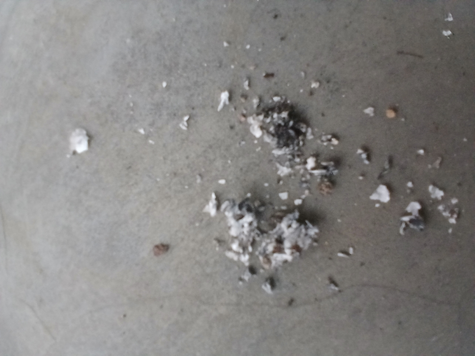 The image displays a close-up, overhead view of a light gray, textured surface, likely concrete or asphalt. Scattered across the surface are small fragments of ash and debris, predominantly white and gray with some darker specks and occasional brown, pebble-like pieces. The distribution of the debris is irregular, with a larger concentration of ash and fragments in the lower-middle section of the frame. The lighting appears to be natural, casting subtle shadows. This scene is situated in Kademangan Kulon, Indonesia.