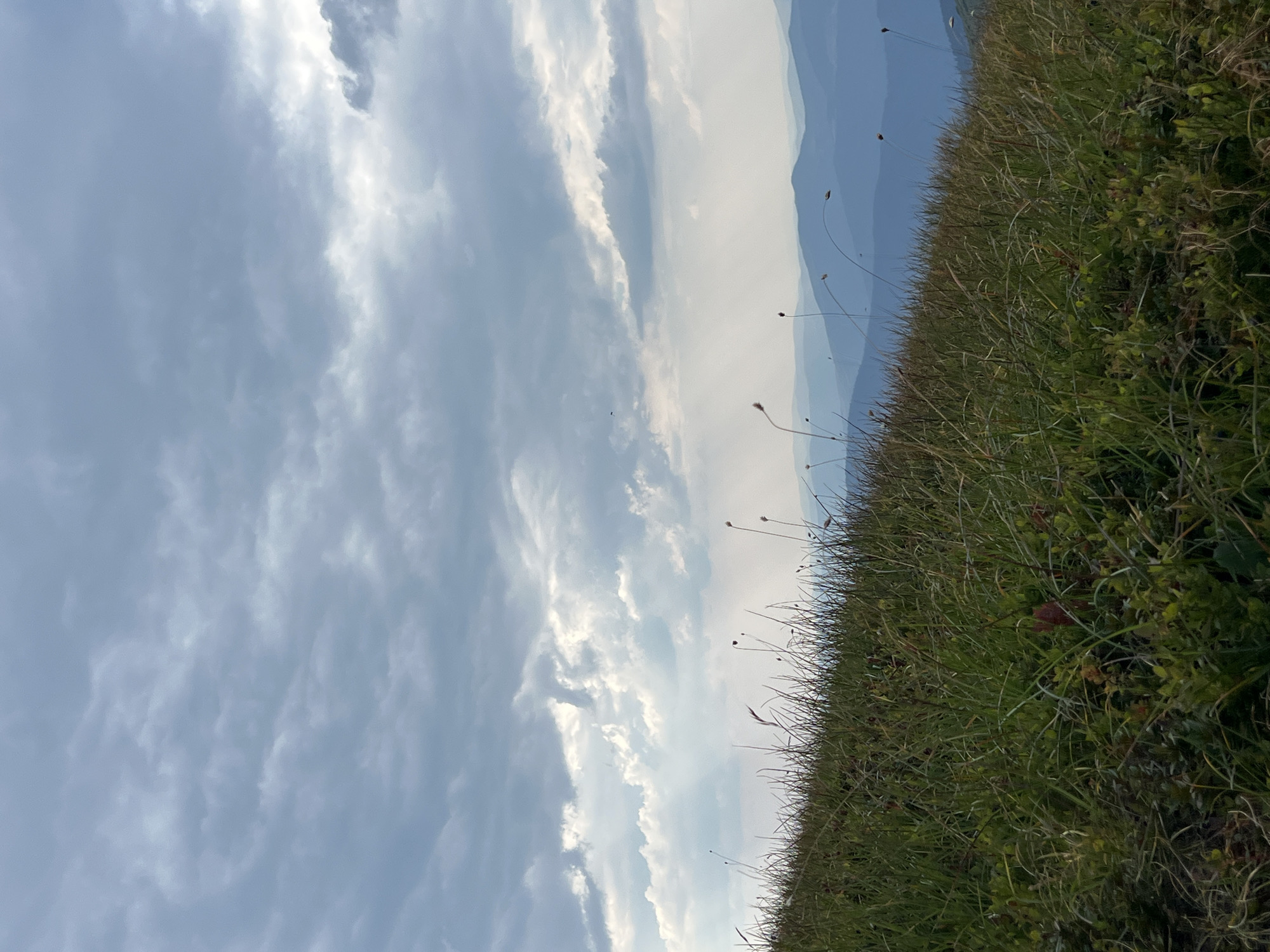 An overcast sky with broken clouds looms above a sloping grassy hillside. The grass is tall and green with some dry stalks interspersed. In the distance, layers of blue mountains recede into the haze. The scene appears to be located in Luhy, Ukraine.