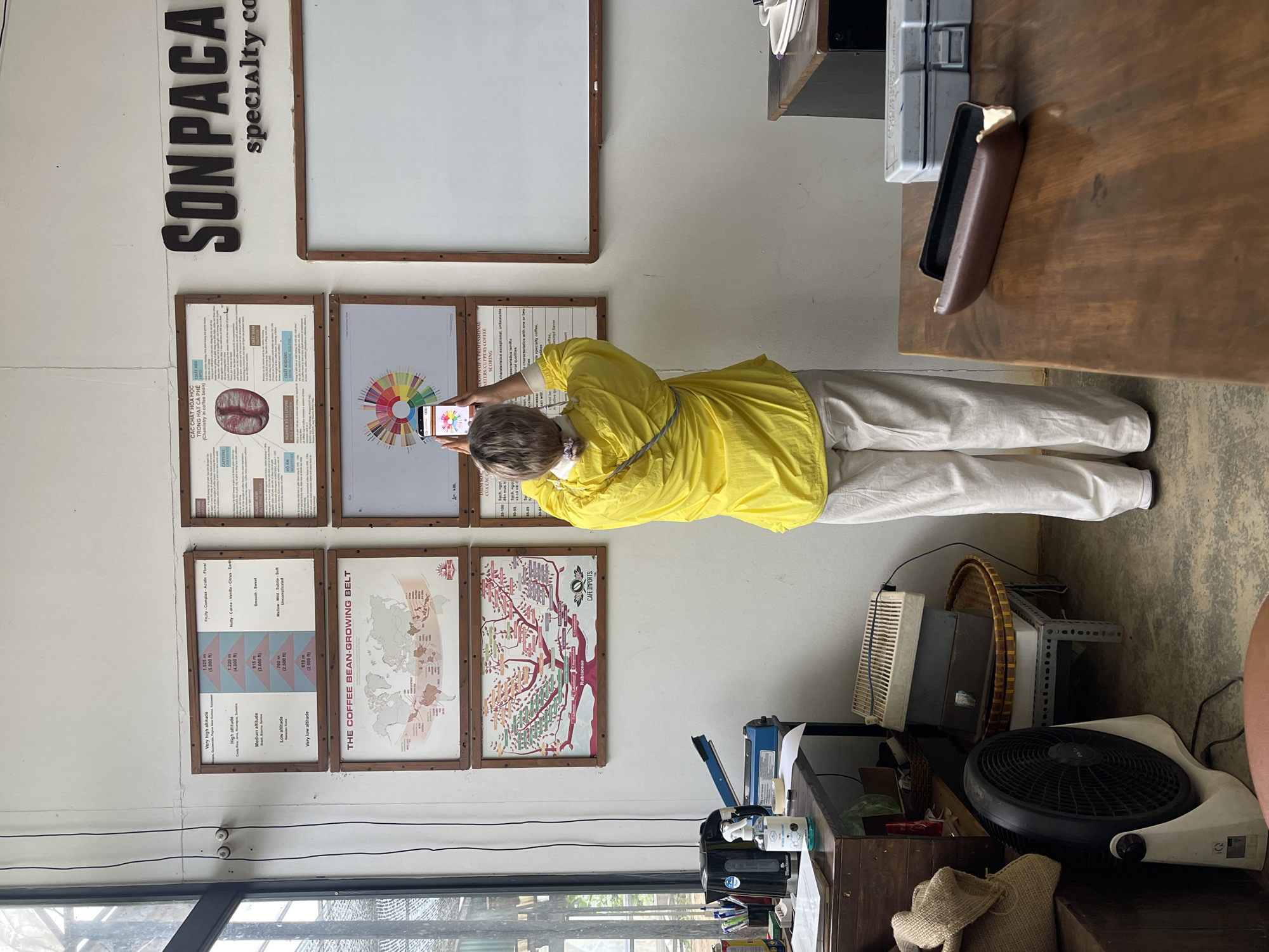 The image shows a person in a yellow shirt and light-colored pants standing in front of a wall with educational posters about coffee. The posters cover topics such as coffee bean chemistry, growing regions, flavor profiles, and coffee grading. The sign above the posters reads "SON PACA specialty co". The person is holding a smartphone, seemingly taking a picture of the poster displaying a color wheel of coffee flavors. A whiteboard hangs above the posters. To the right of the wall are a wooden table and shelving units. Miscellaneous items such as fans, a tray, and office supplies are scattered around this area. The location is Cam Ly - Da Lat, Vietnam.