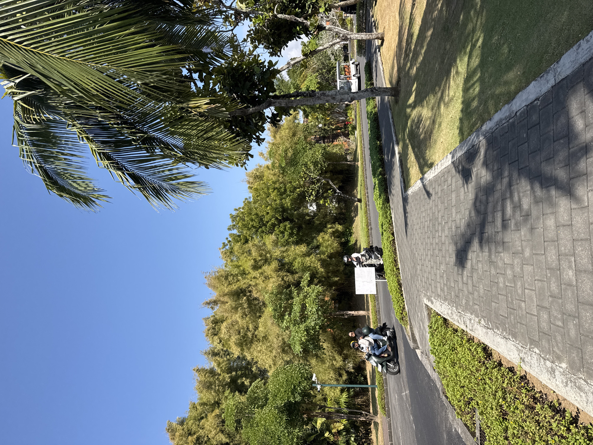 In an outdoor scene with a clear blue sky, a paved walkway runs diagonally from the foreground to the middle ground, bordered by a grassy area and a strip of green bushes. Two motorcyclists are traveling on a road to the left of the walkway. The first motorcycle, a dark green scooter, carries two people; the front rider wears a light-colored shirt and sunglasses, while the rear passenger wears a dark top and helmet. Behind them, a second motorcyclist, wearing a helmet, rides a black scooter. A tall lamppost stands to the left of the road. A white sign is positioned near the second motorcyclist. In the background, lush green trees and bamboo create a dense foliage backdrop. Further in the distance, a white golf cart with orange seats is visible on the road, and glimpses of red-tiled roofs suggest buildings. Palm fronds from a tree in the foreground cast shadows on the walkway and grass. The overall impression is a sunny day in a tropical or subtropical environment, possibly a resort or park area.