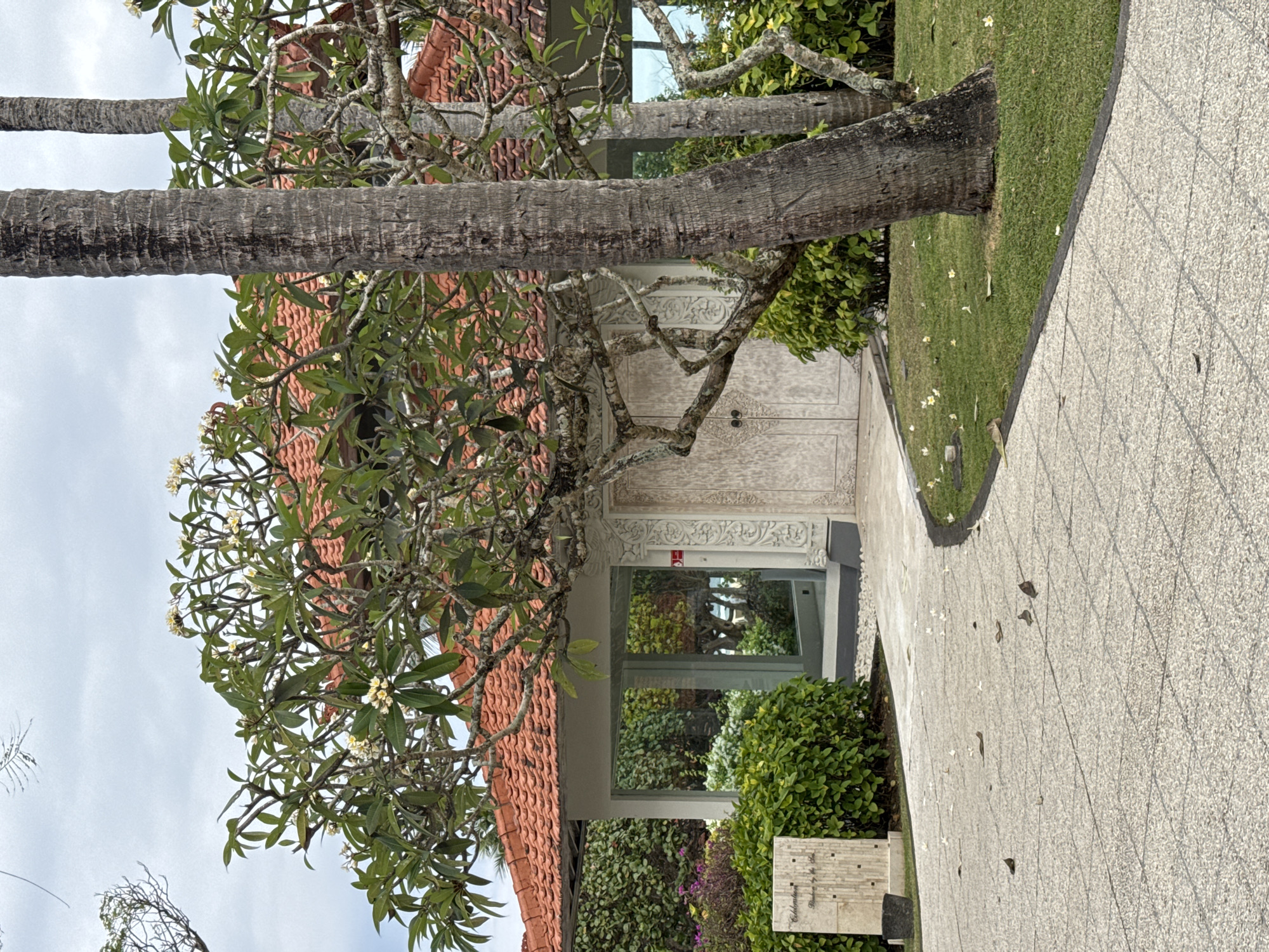 This is an outdoor medium shot image of a building with a red tiled roof in Kuta Selatan, Indonesia. A paved pathway curves from the bottom left foreground towards the building. The pathway is scattered with fallen leaves and white flower petals. To the right of the pathway is a lush green lawn, also with scattered leaves and petals. A large palm tree trunk is prominently positioned in the right mid-ground, partially obscuring the building. Behind the pathway and to the left of the building is a well-maintained garden with various green shrubs and some purple flowers. The building features white ornate double doors in the center and large glass windows on either side. The windows reflect the surrounding greenery and what appears to be the sky. A signpost with text is visible in the left mid-ground. The sky is overcast with clouds.