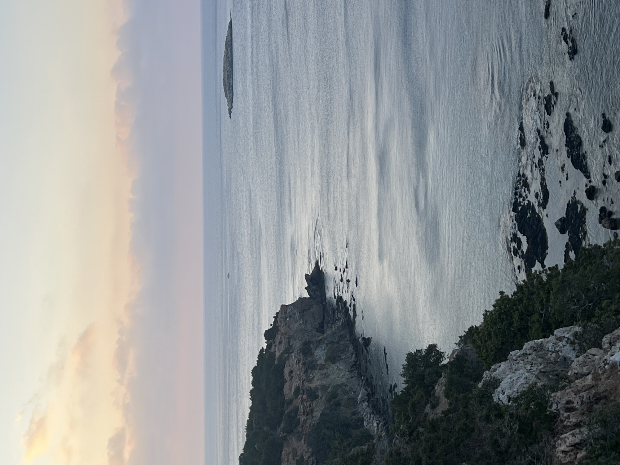 An aerial, eye-level, wide-angle vertical shot captures a serene coastal landscape at Neo Chorio, Cyprus. The scene is dominated by the vast expanse of the sea, its surface a palette of cool, muted blues and grays, gently rippled by subtle waves. In the distance, a small, dark island stands as a solitary silhouette against the horizon. A thin line of a boat is visible far out at sea, a tiny speck against the immensity.
The foreground and left side of the image are defined by a rugged, rocky coastline covered in dense green vegetation. Steep cliffs plunge towards the sea, their surfaces a mixture of grey rock and darker, moss-like growth. Scattered among the rocks at the water's edge are dark, jagged formations. The sky above is a soft gradient, transitioning from a pale, peachy-pink near the horizon to a muted lavender, with wispy, pastel-colored clouds drifting across the upper frame. The overall impression is one of peacefulness and natural beauty, bathed in the soft light of either dawn or dusk.