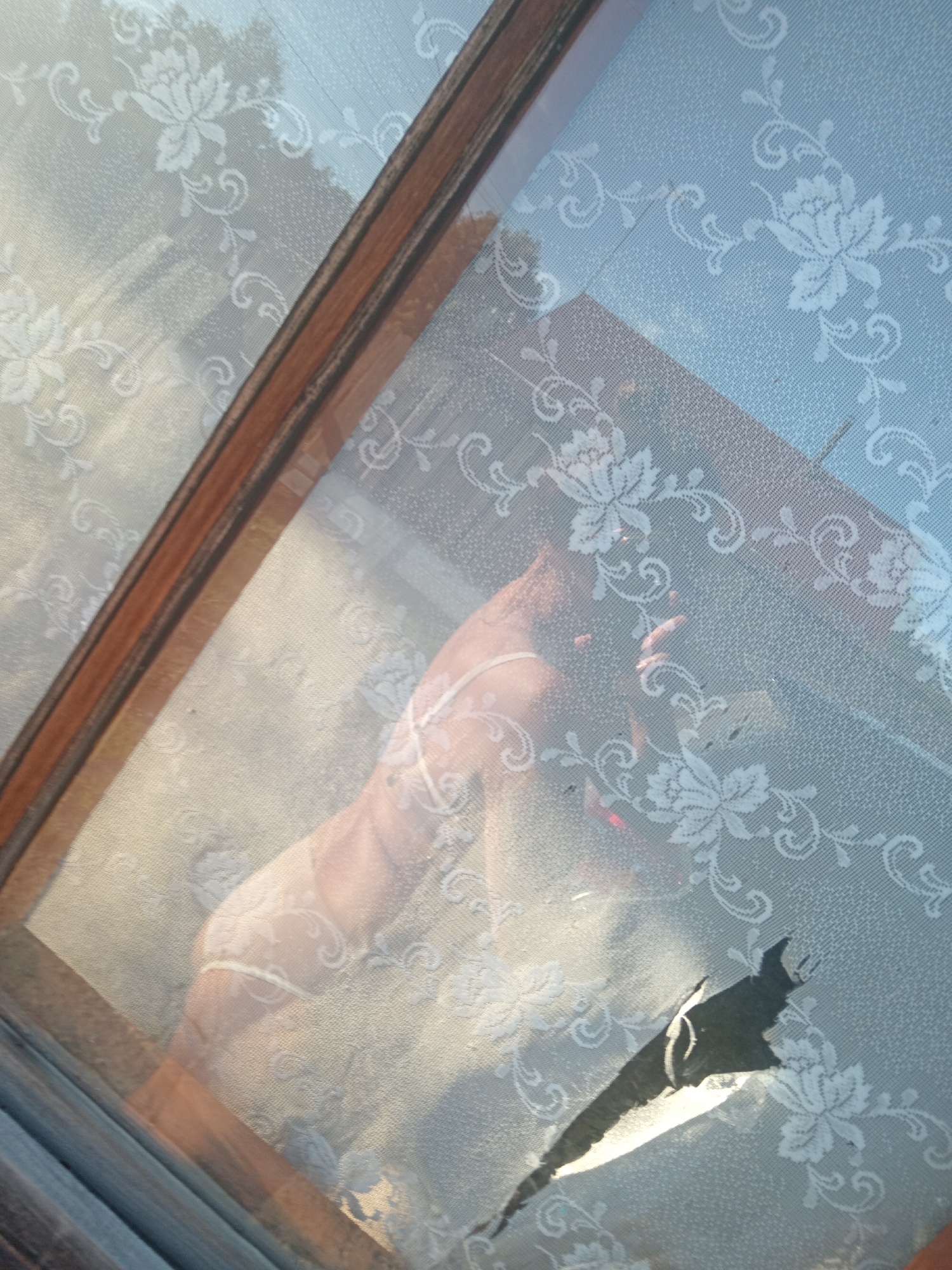 The image shows a close-up view of a torn lace curtain against a window. Through the curtain and the window, a person's legs and torso are visible, wearing what appears to be underwear. Sunlight is coming through the window, illuminating the scene. The curtain has a floral pattern. The location is identified as Novopokrovka, Russia.